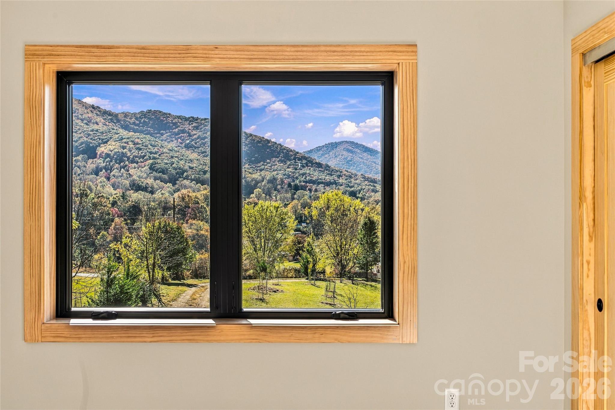 Wake up to spectacular Blue Ridge Mountain views.Gorgeous mountain scenery and abundant natural l - 205 Blue Moon Lane, Candler