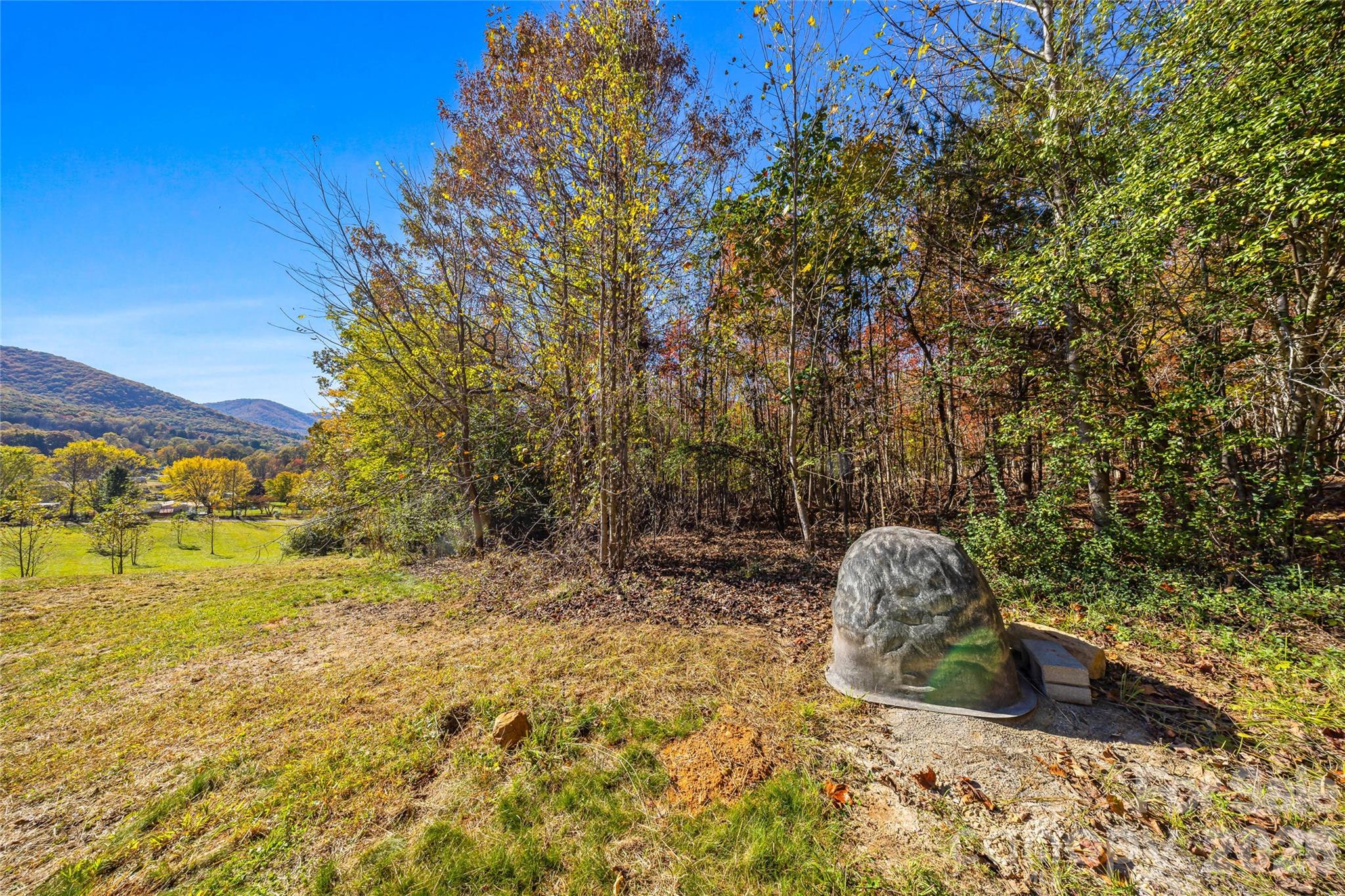 Established trees and a peaceful, natural landscape. - 205 Blue Moon Lane, Candler