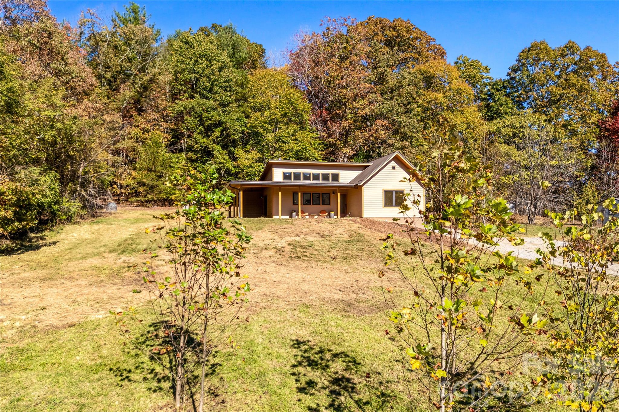 Open, usable land with established fruit trees and room to garden. - 205 Blue Moon Lane, Candler