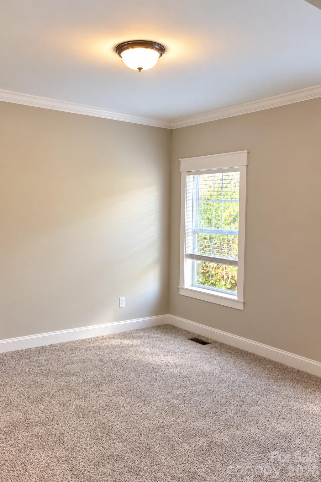 Single Family Residence at 5 Adell Drive, Fletcher, photo 54 of 61