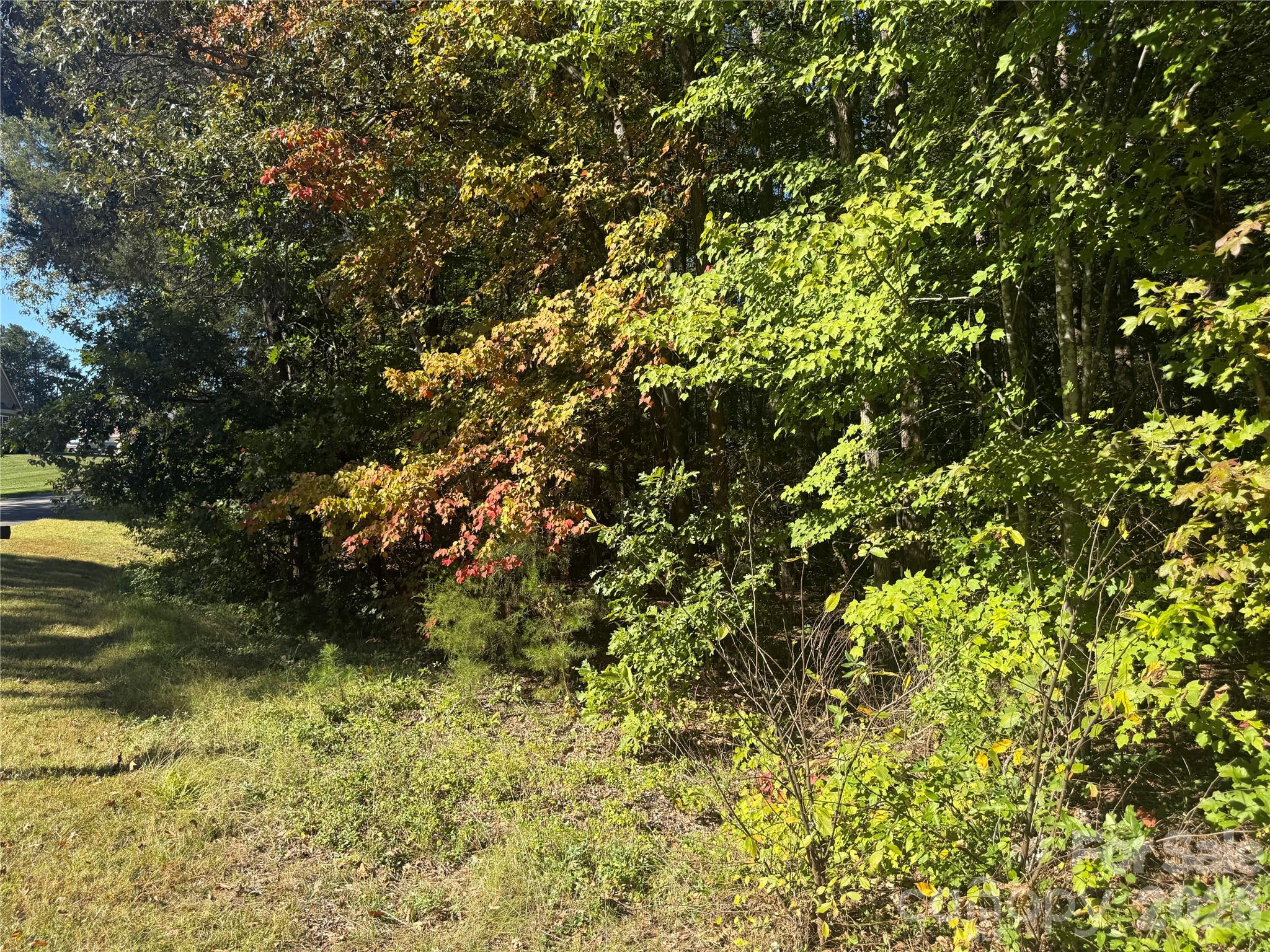 Ready to build your Dream Home in the prestigious Grand Oaks community!... - 0000 Holland Oaks Drive, China Grove