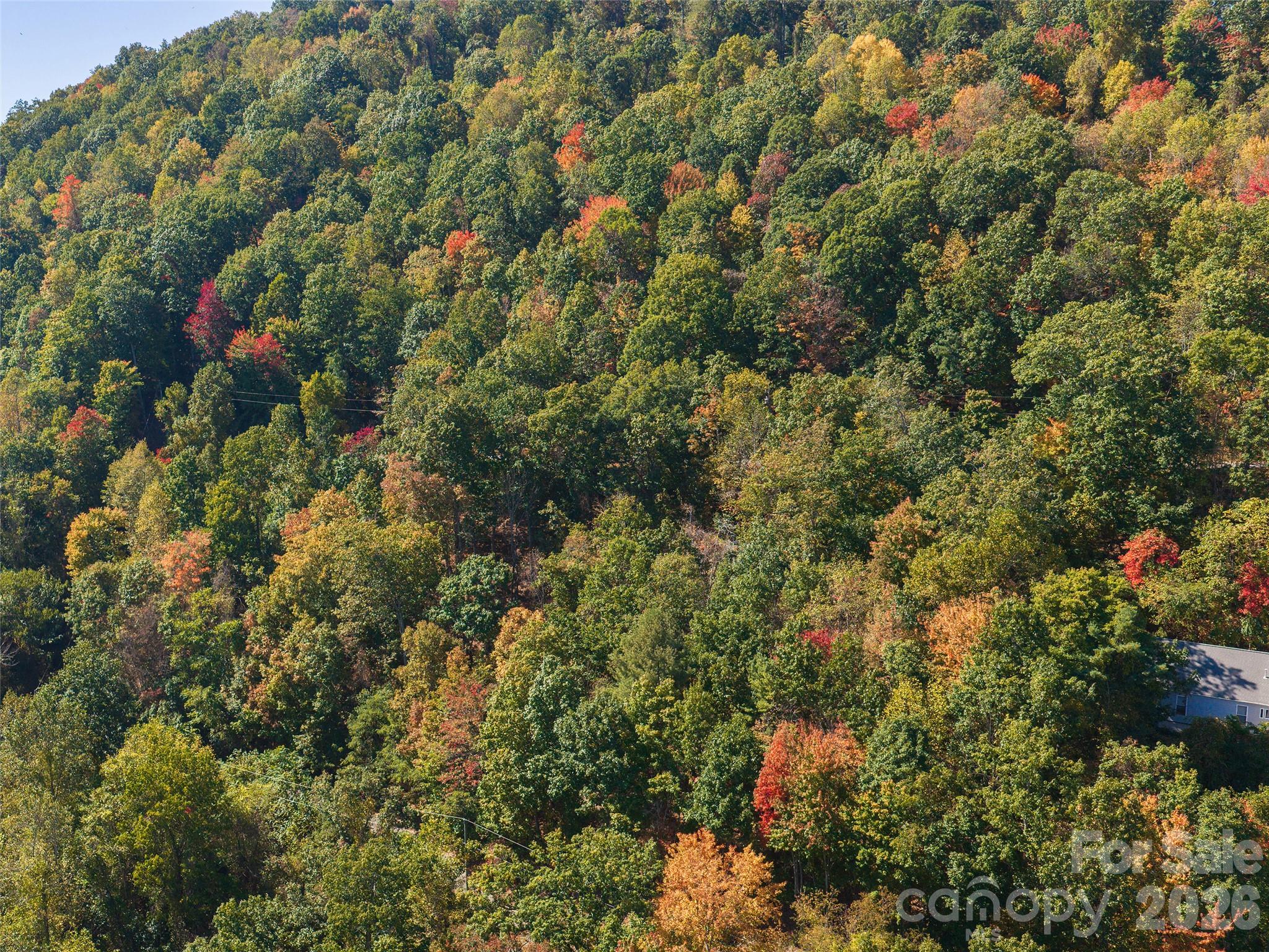 Lot at 67 Gaston Mountain Road, Asheville, photo 3 of 6