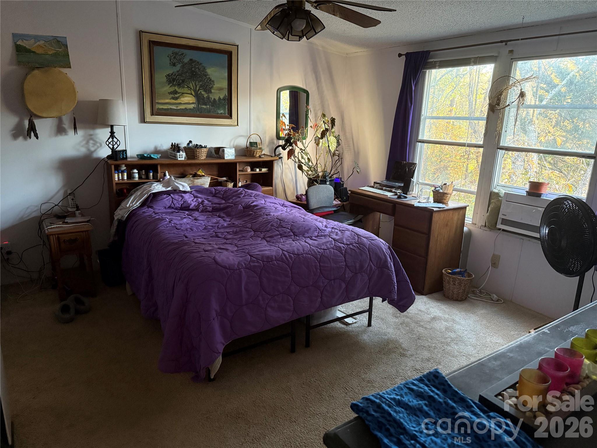 Single Family Residence at 8 Longs Chapel Road, Weaverville, photo 12 of 15