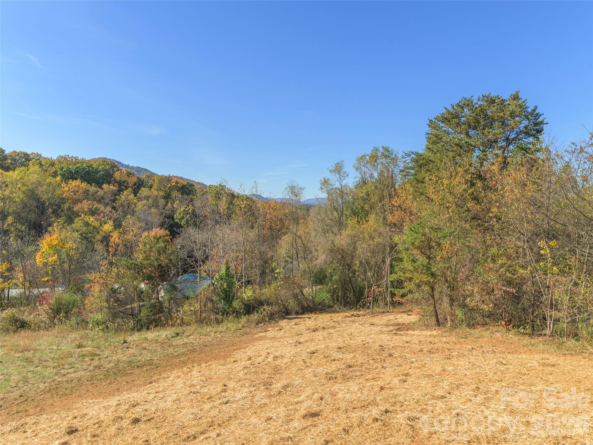 Single Family Residence at 112 Max View Drive, Leicester, photo 8 of 36