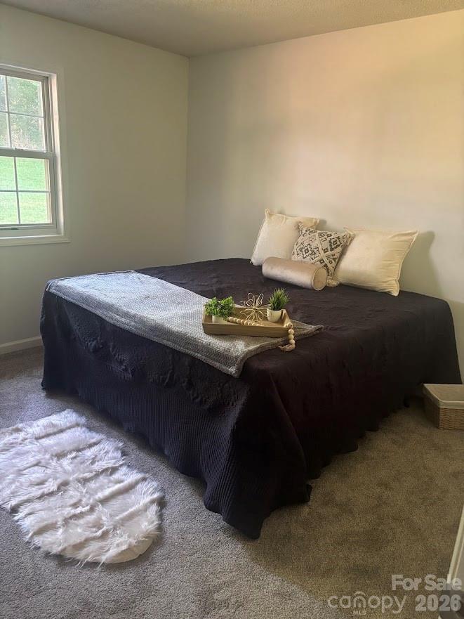Single Family Residence at 119 Nevermore Lane, Statesville, photo 28 of 36