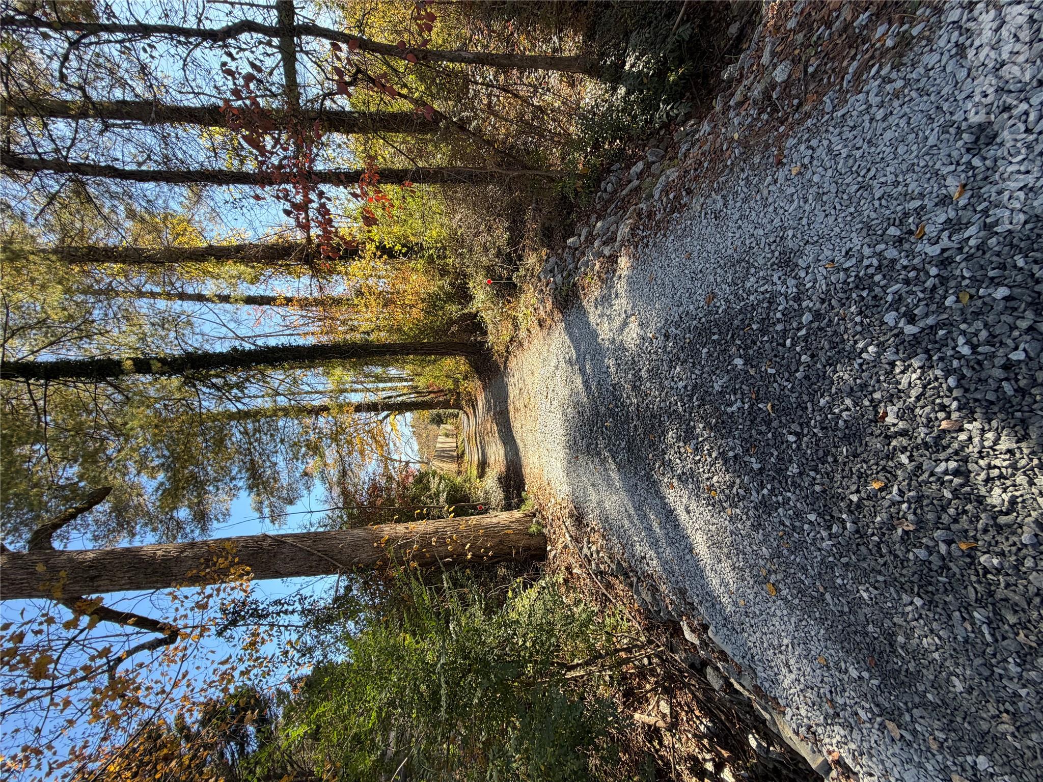 Drive from N Clear Creek Rd - 0 N Clear Creek Road, Hendersonville