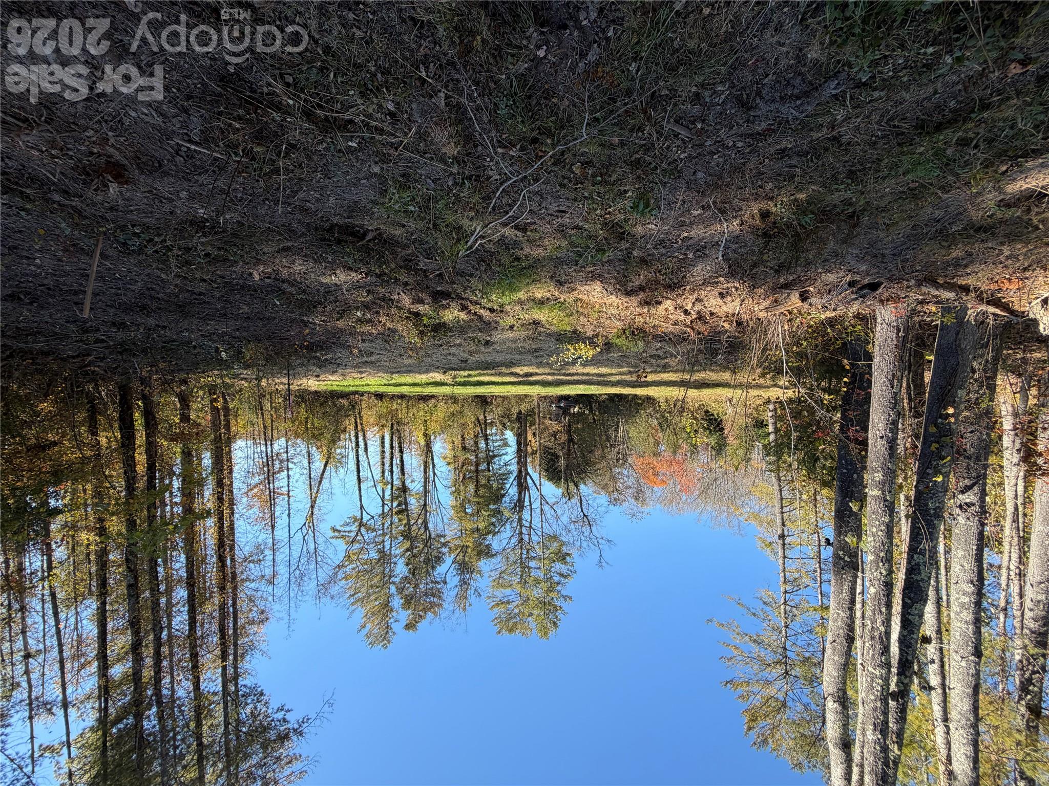 Homesite - 0 N Clear Creek Road, Hendersonville