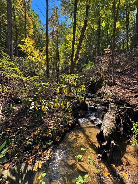 Acreage at 9999 Bird Creek Estates Road, Black Mountain