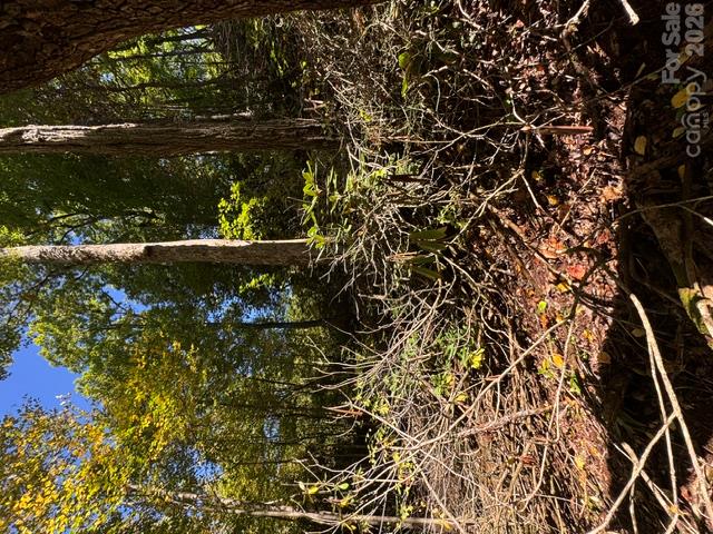 Acreage at 9999 Bird Creek Estates Road, Black Mountain, photo 2 of 5