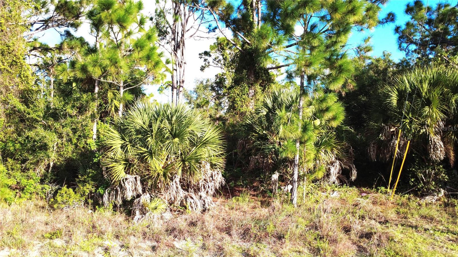 Land at 12443 GULFSTREAM BLVD, PORT CHARLOTTE, photo 6 of 24