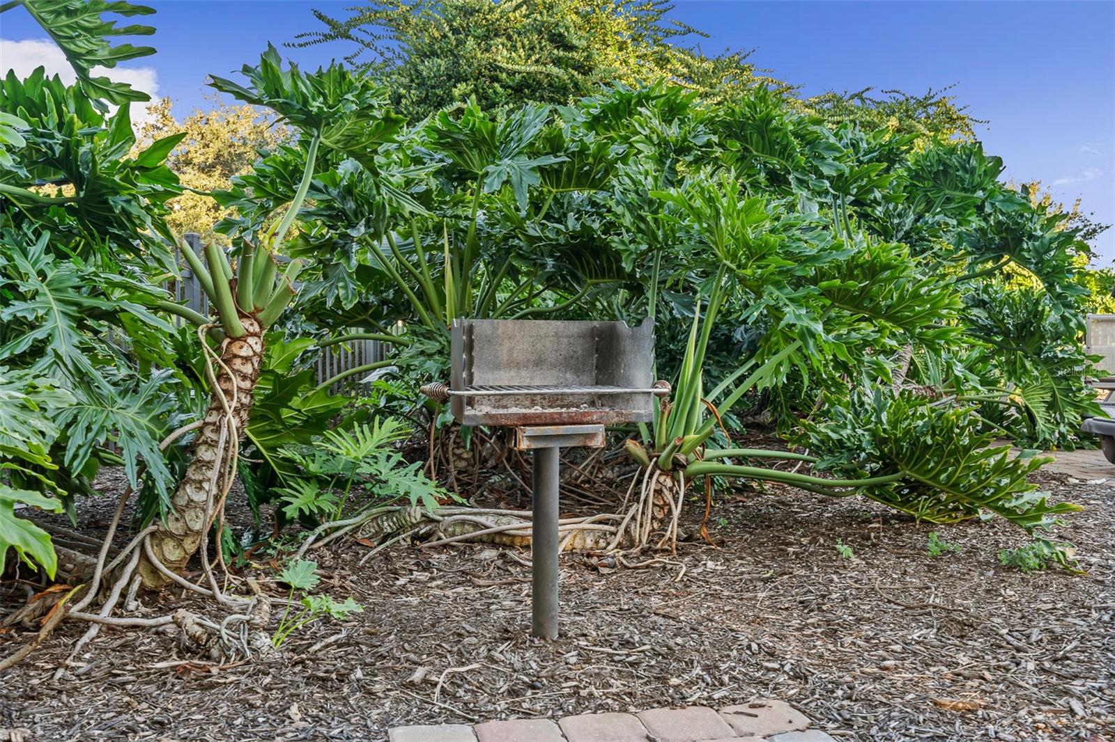 Conservation Area - 146 ARENA LAKE DR, PALM COAST