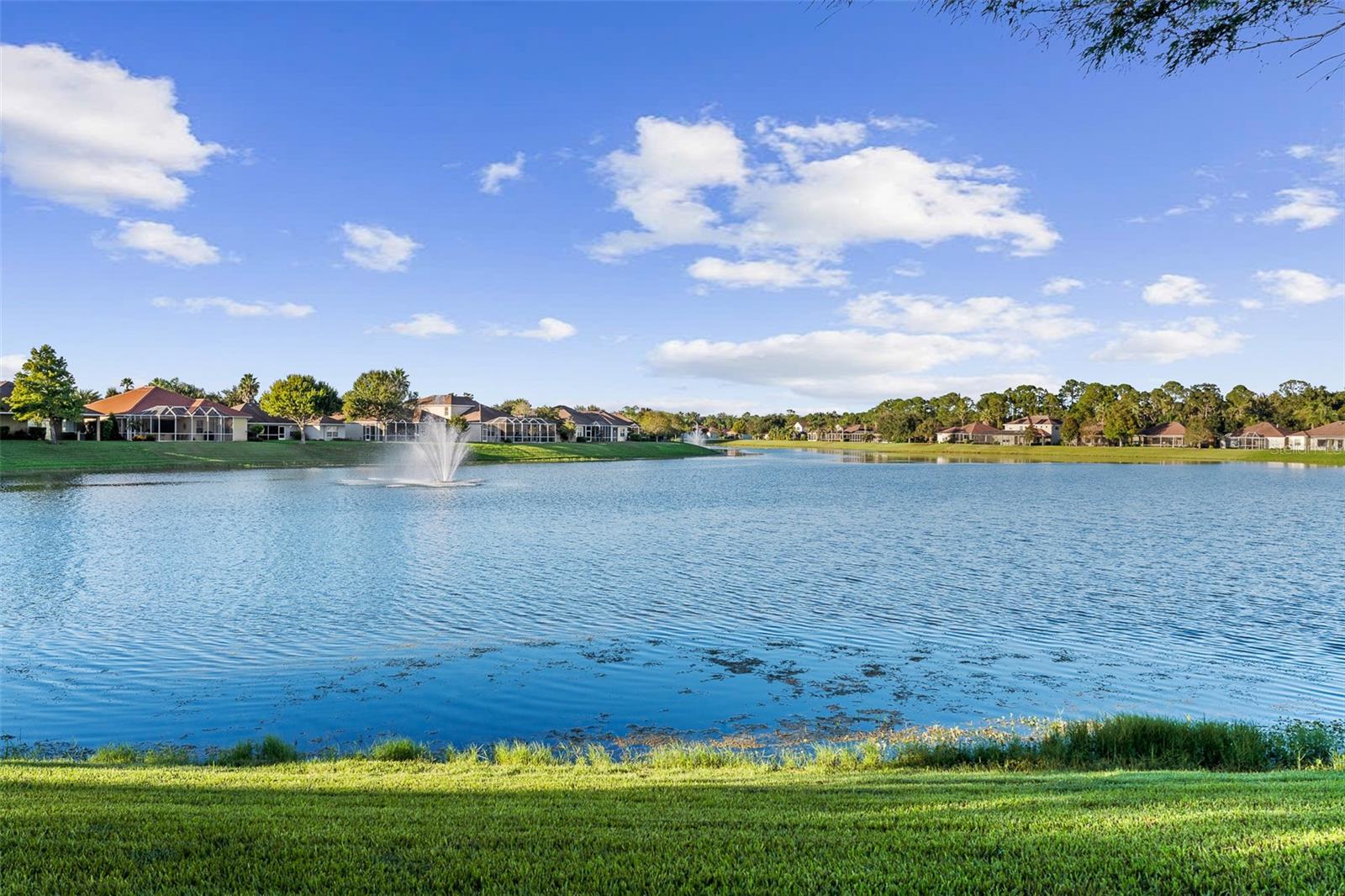 Close up of Lake - 146 ARENA LAKE DR, PALM COAST