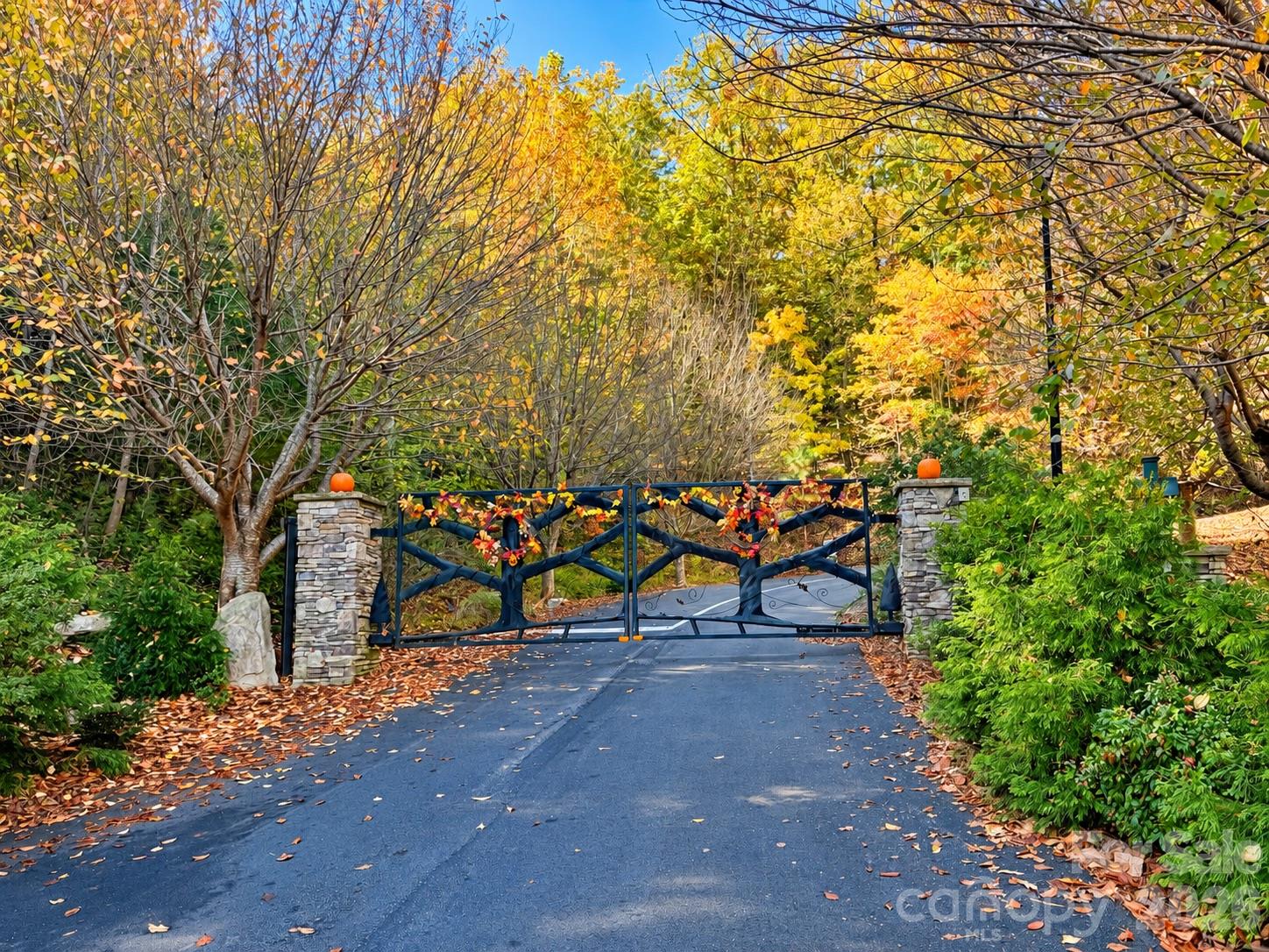 Lot at Lot 45 Peseco Drive, Bostic