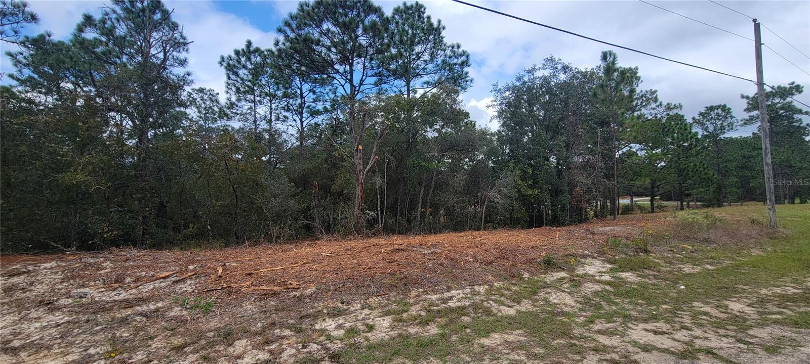 9172 N MARCUS WAY