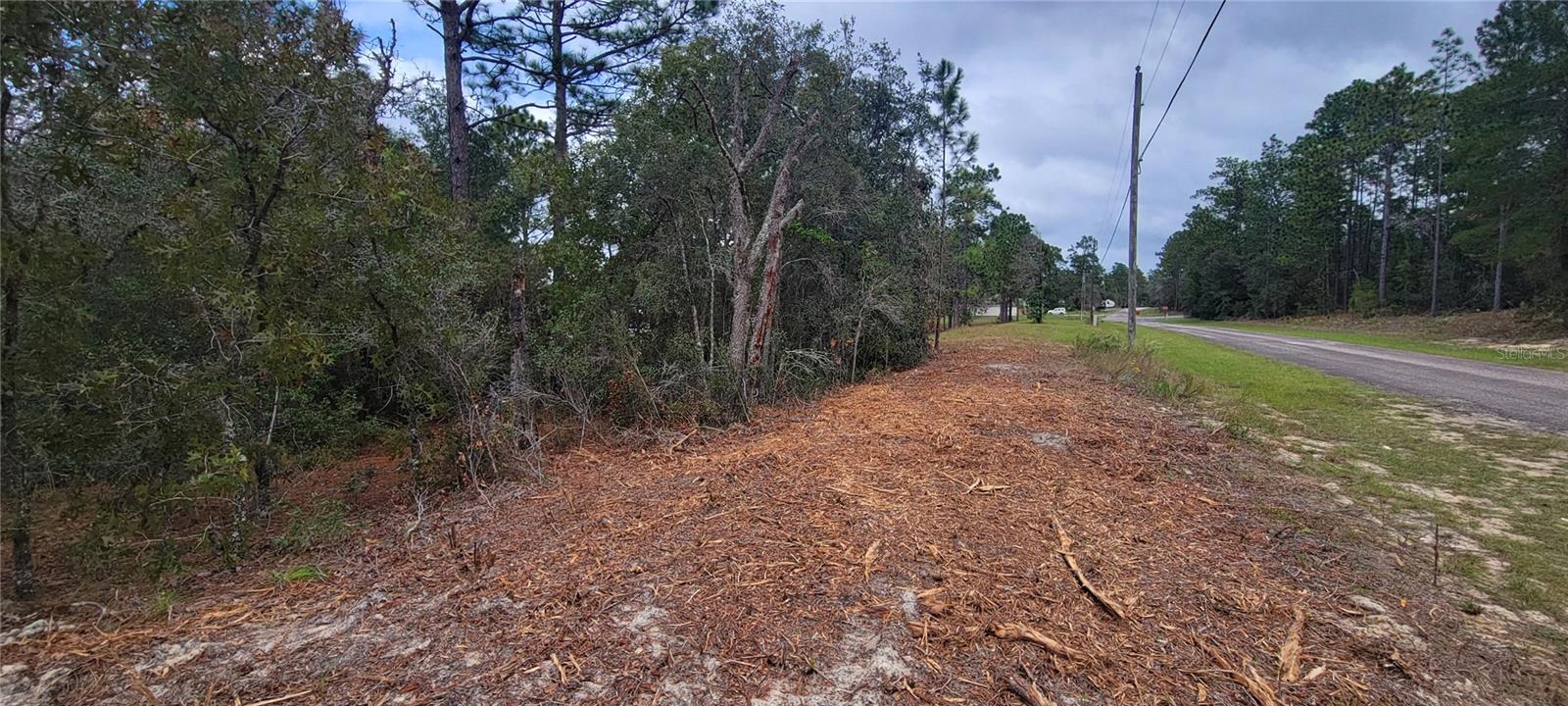 Land at 9172 N MARCUS WAY, DUNNELLON, photo 2 of 5