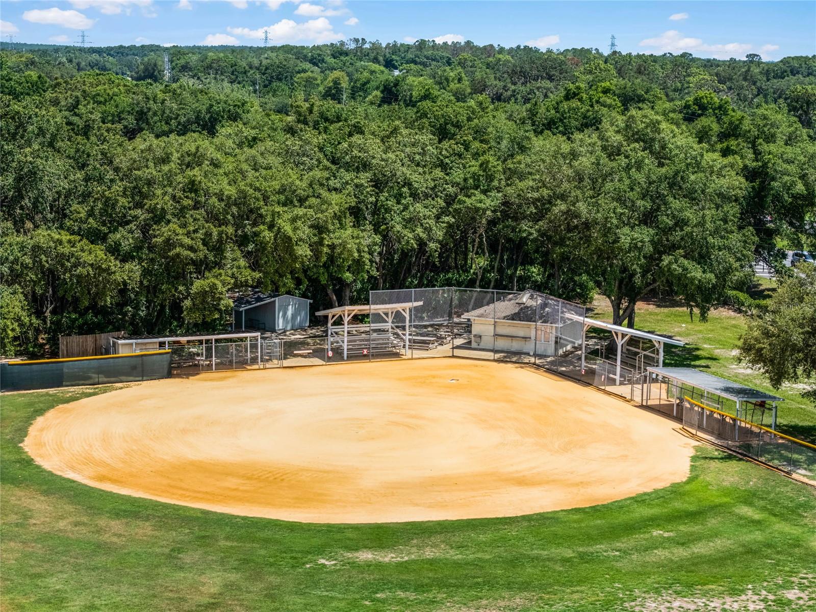 Highland Lakes very own "Field of Dreams" Join our league or just enjoy the game from the stands - 26233 NEWCOMBE CIR, LEESBURG