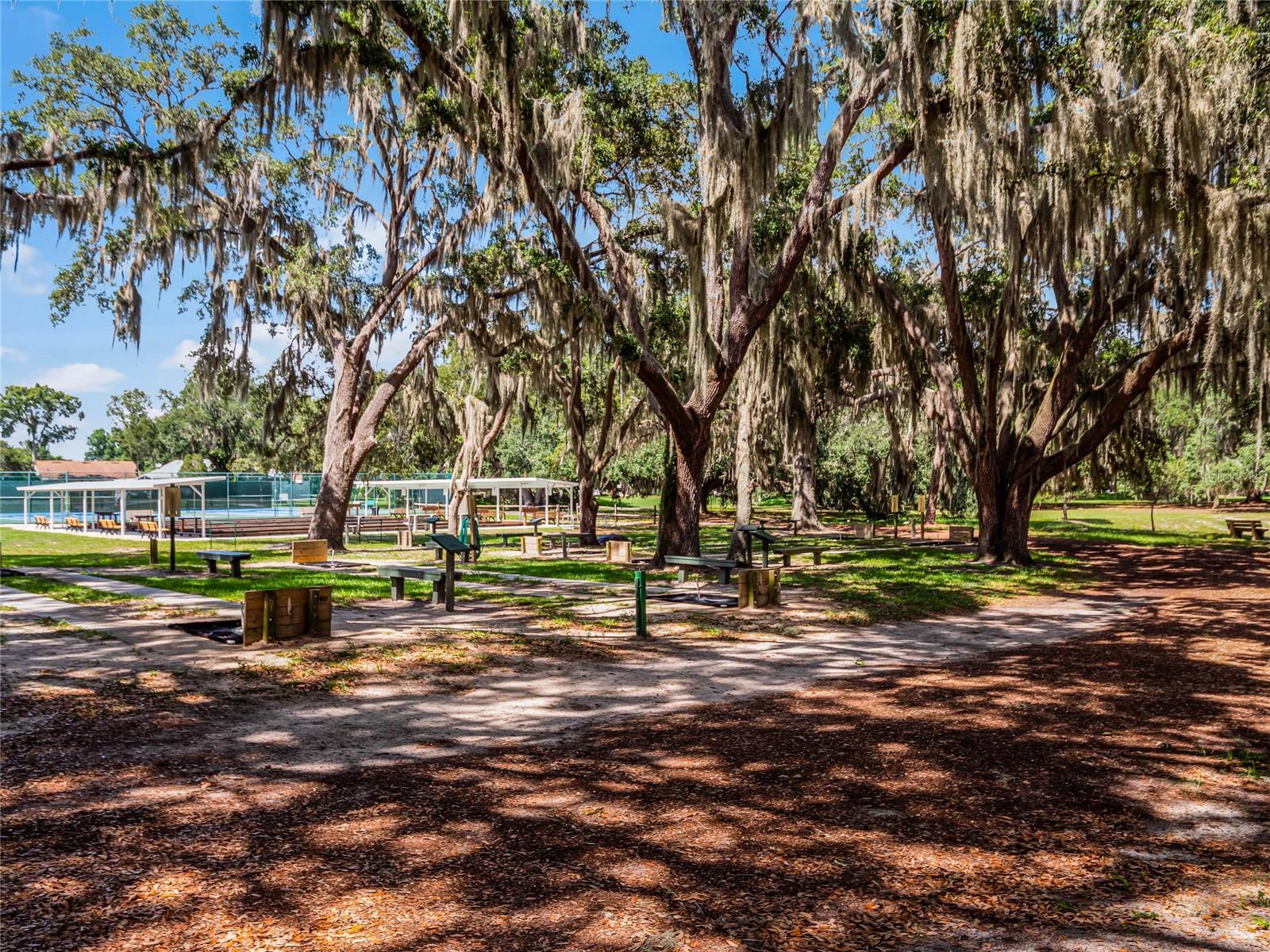 Horseshoes, bocce etc. - 26233 NEWCOMBE CIR, LEESBURG