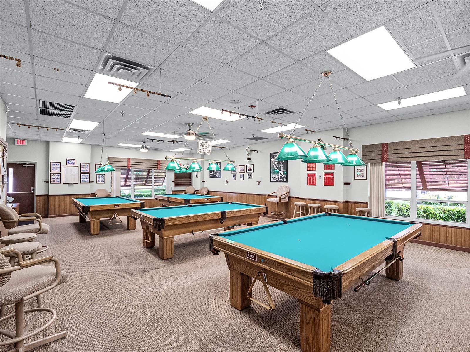 Billiards and ping pong - 26233 NEWCOMBE CIR, LEESBURG