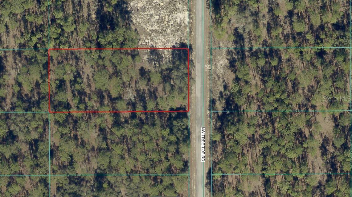 NW TREE TOP RD