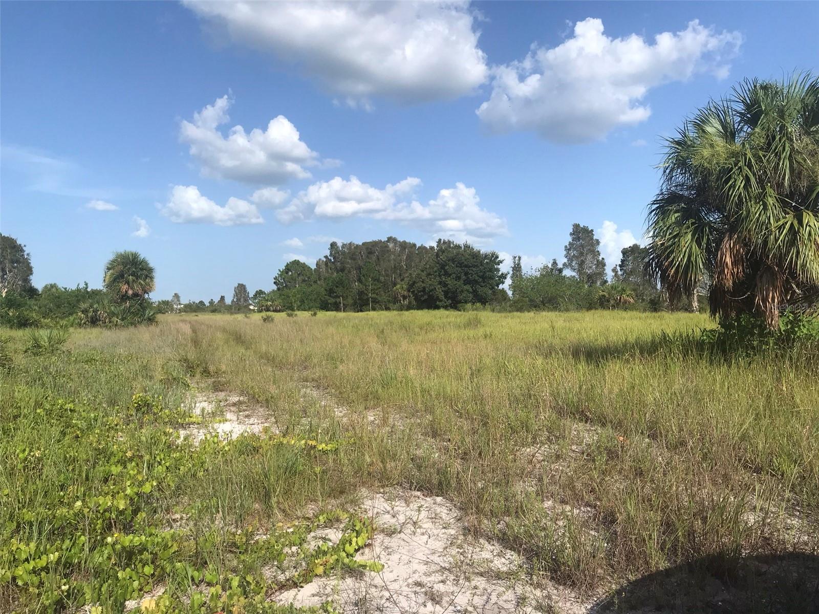 Drive back to the lake. - 48091 BERMONT RD, PUNTA GORDA