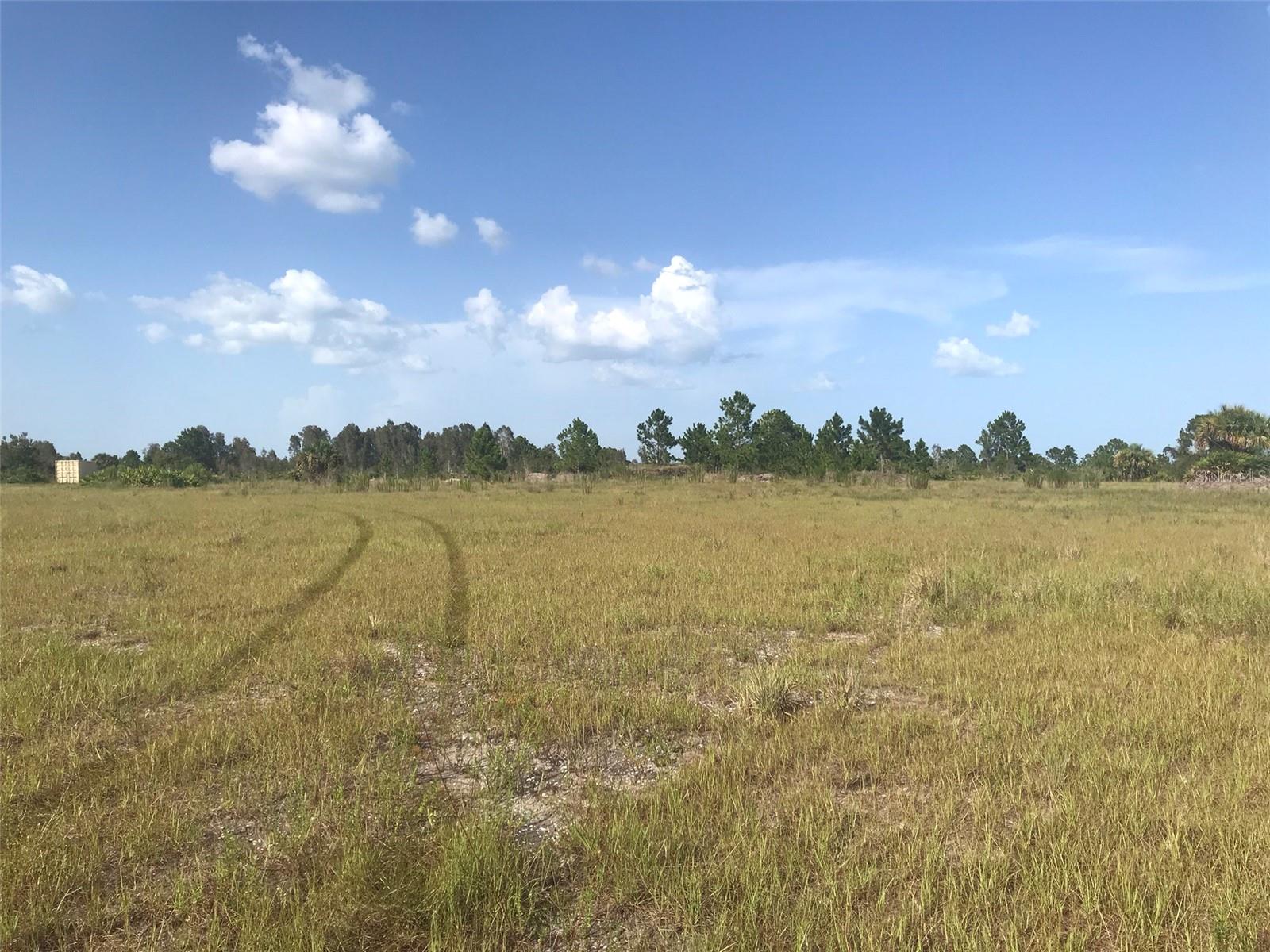 Pasture north of the lake. - 48091 BERMONT RD, PUNTA GORDA