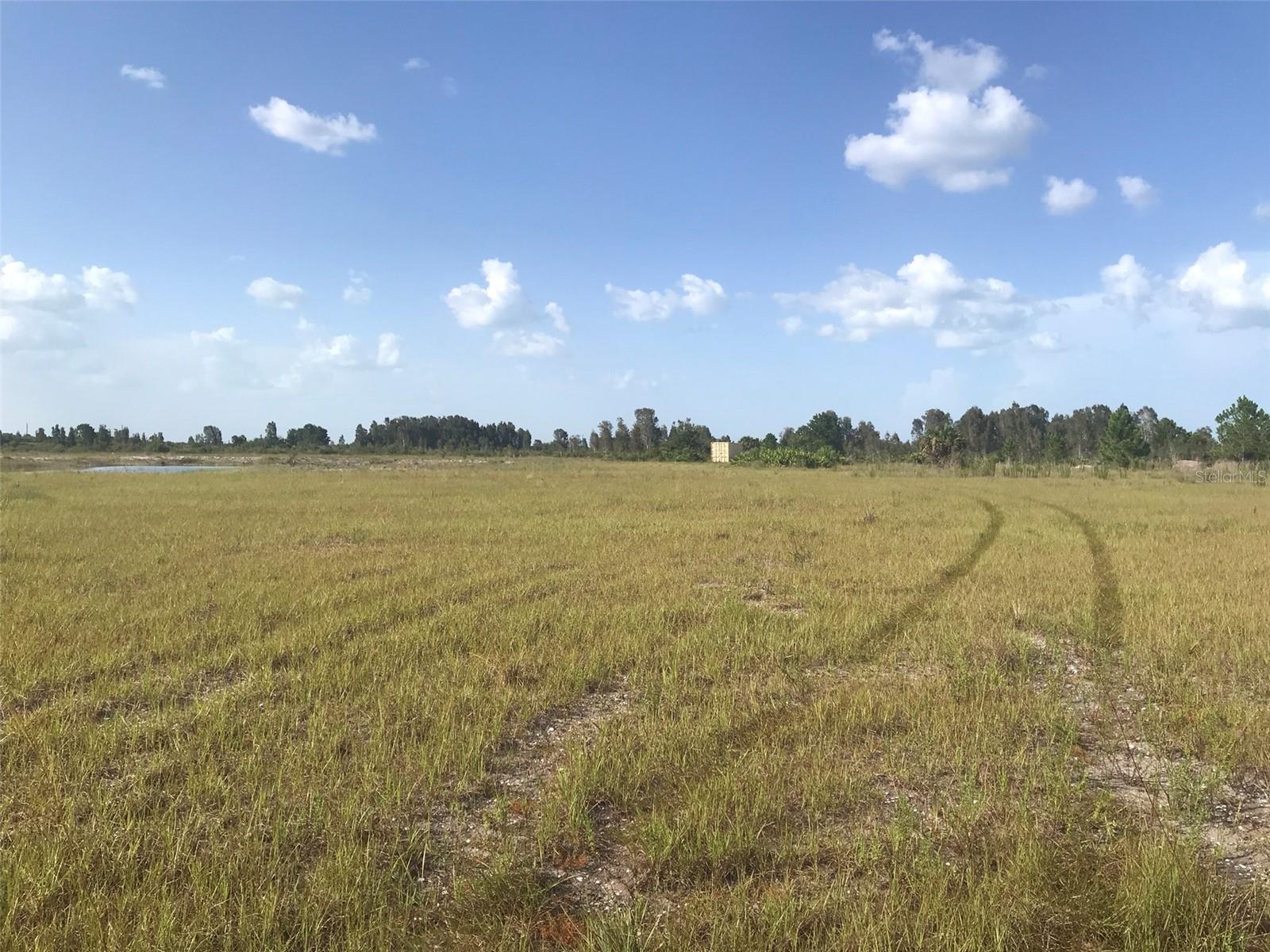 Pasture north of the lake. - 48091 BERMONT RD, PUNTA GORDA