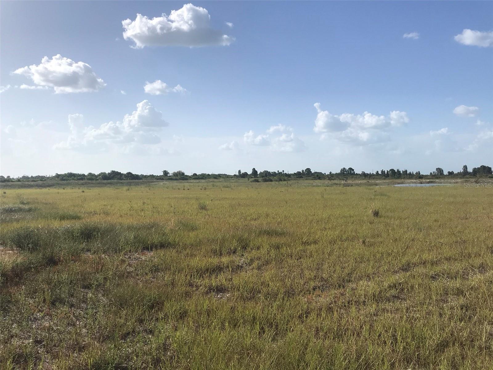 Pasture north of the lake. - 48091 BERMONT RD, PUNTA GORDA