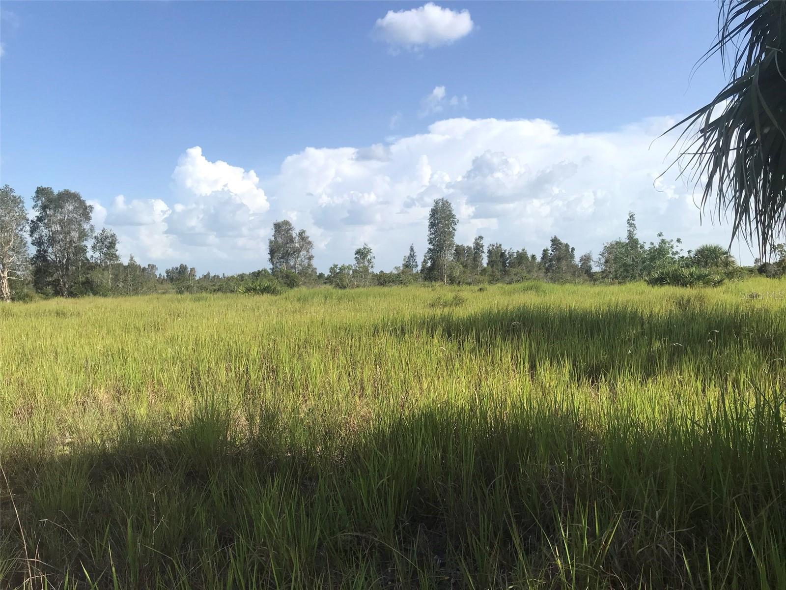 North end of the 70 acres. - 48091 BERMONT RD, PUNTA GORDA