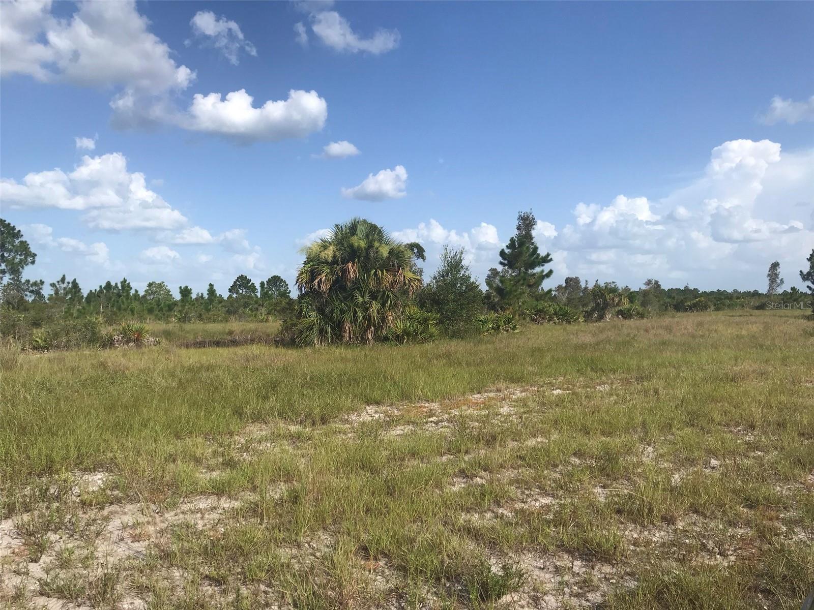 North end of the 70 acres. - 48091 BERMONT RD, PUNTA GORDA