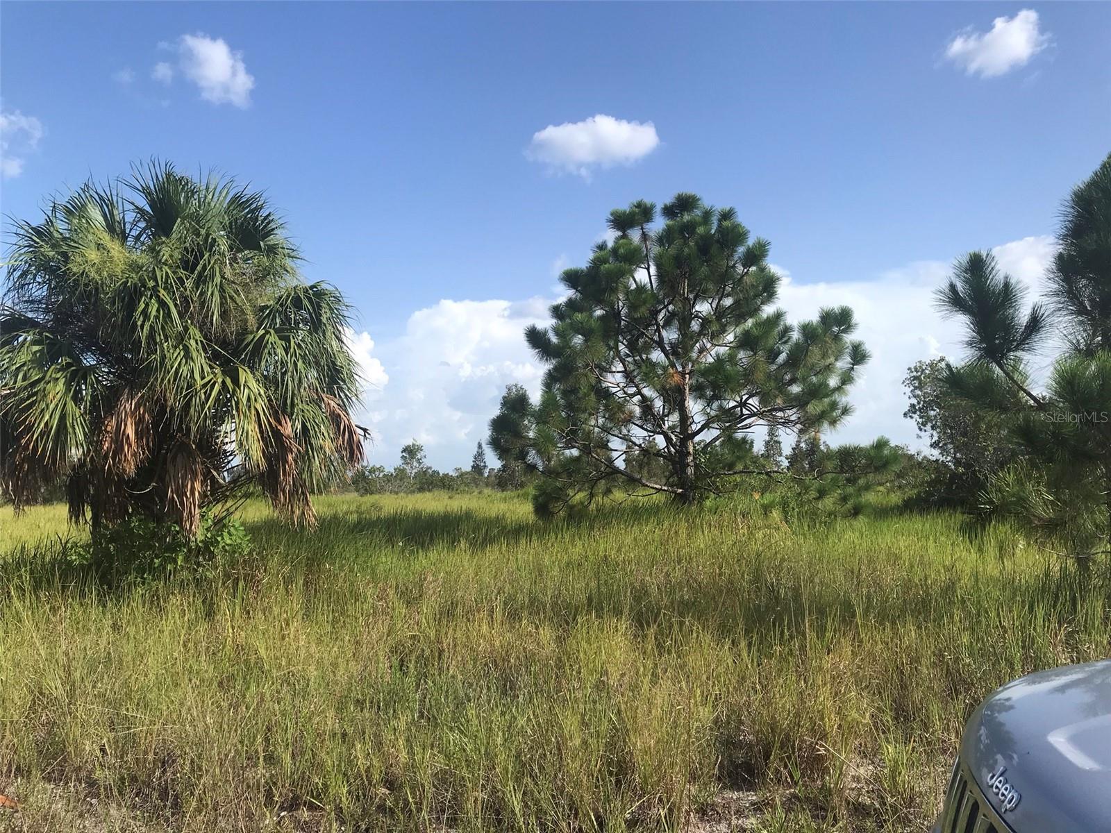 Land at 48091 BERMONT RD, PUNTA GORDA, photo 14 of 23