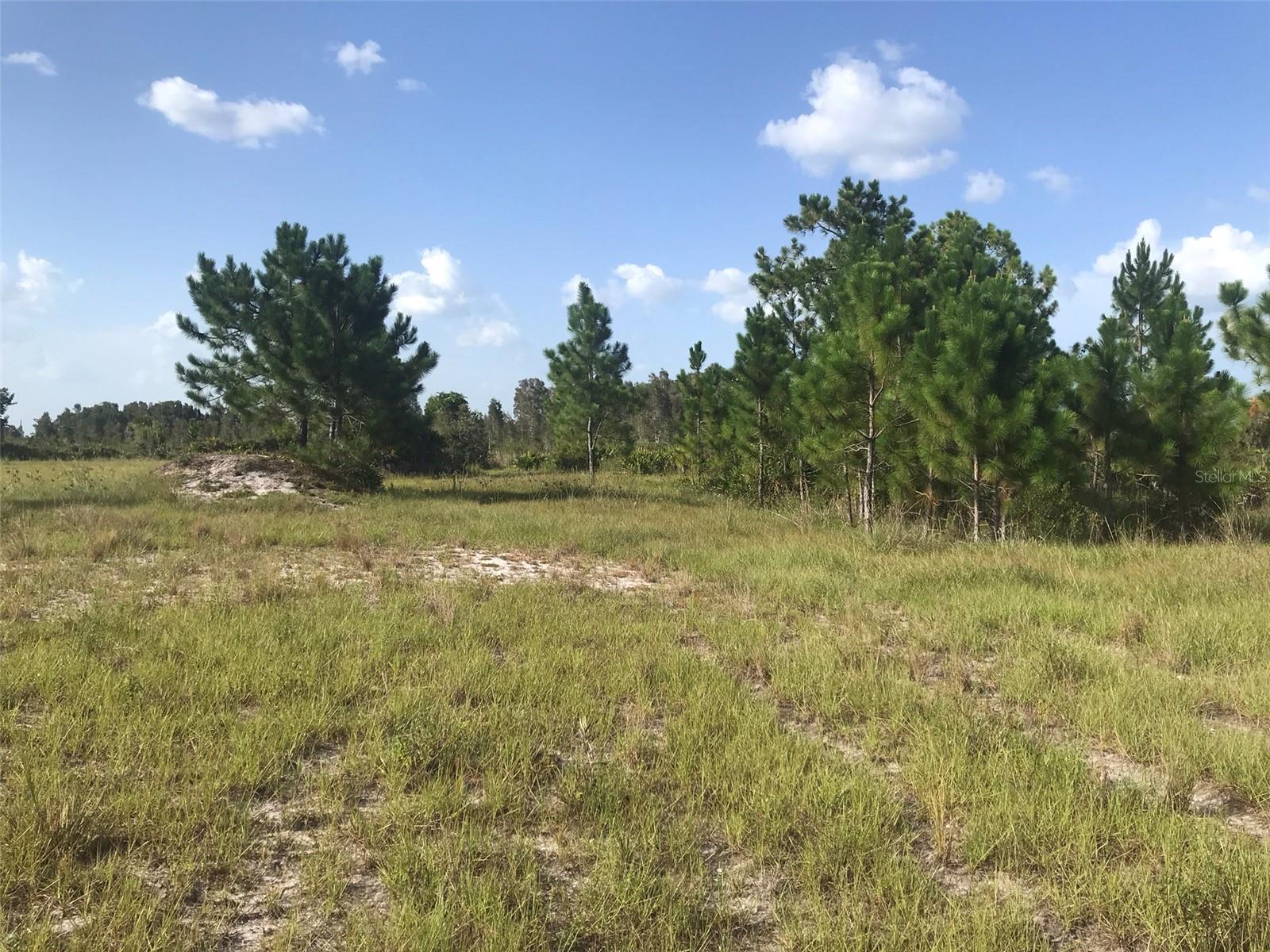 North end of the 70 acres. - 48091 BERMONT RD, PUNTA GORDA