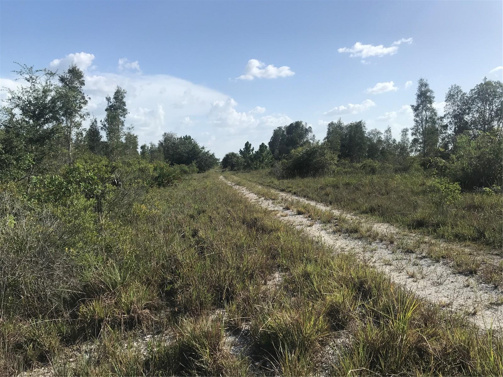 Drive ahead to rear of the 70 acres and the Lake. - 48091 BERMONT RD, PUNTA GORDA