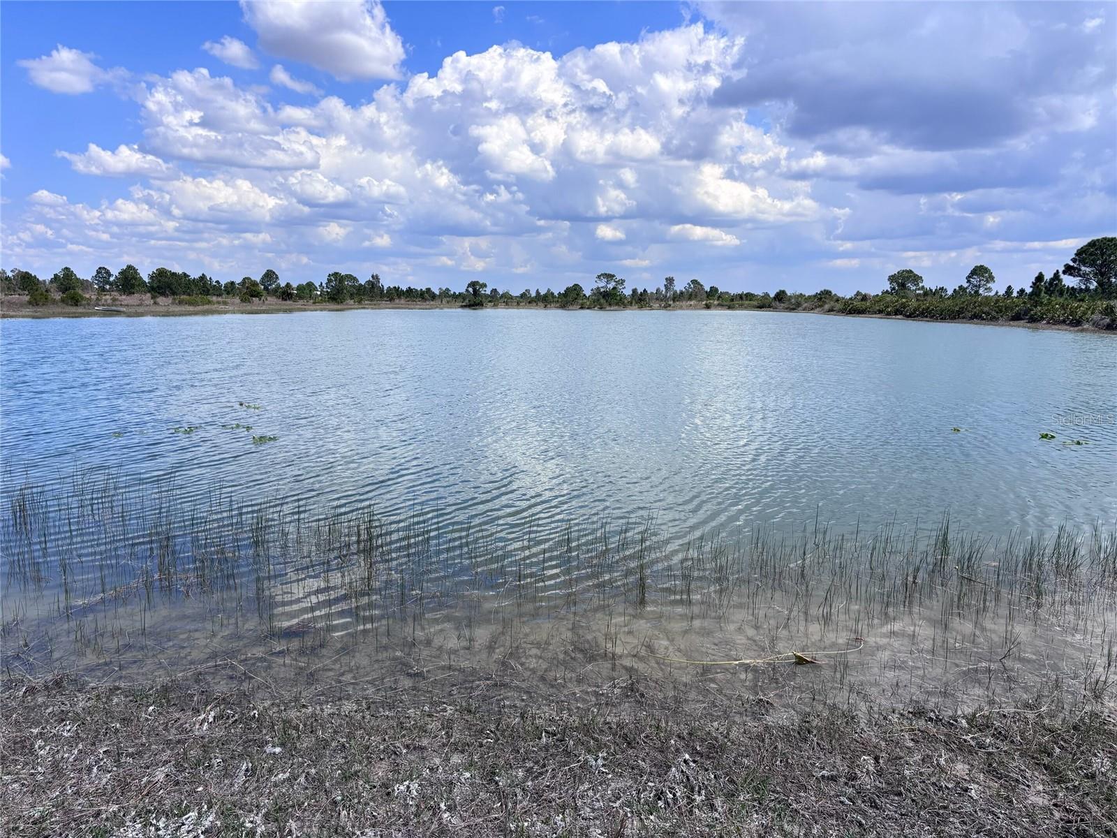 Land at 48091 BERMONT RD, PUNTA GORDA, photo 23 of 23