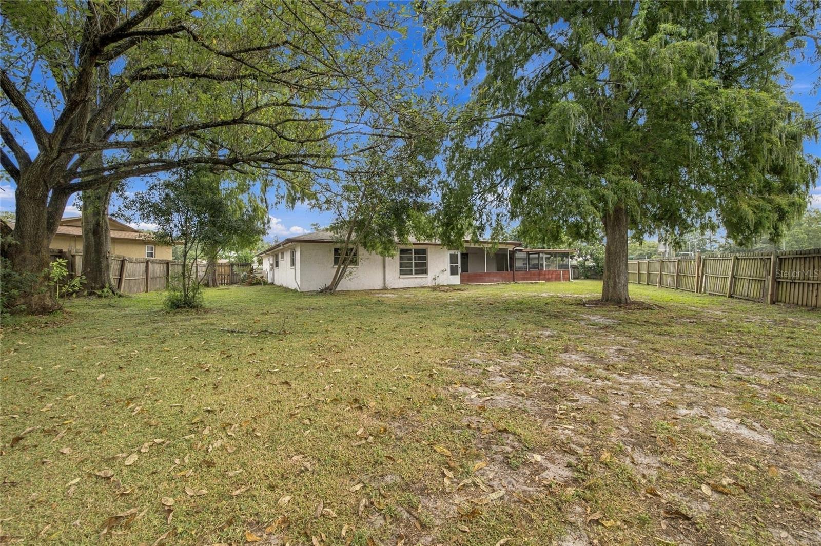 Back Yard - 2704 WOODVIEW CT, CLEARWATER