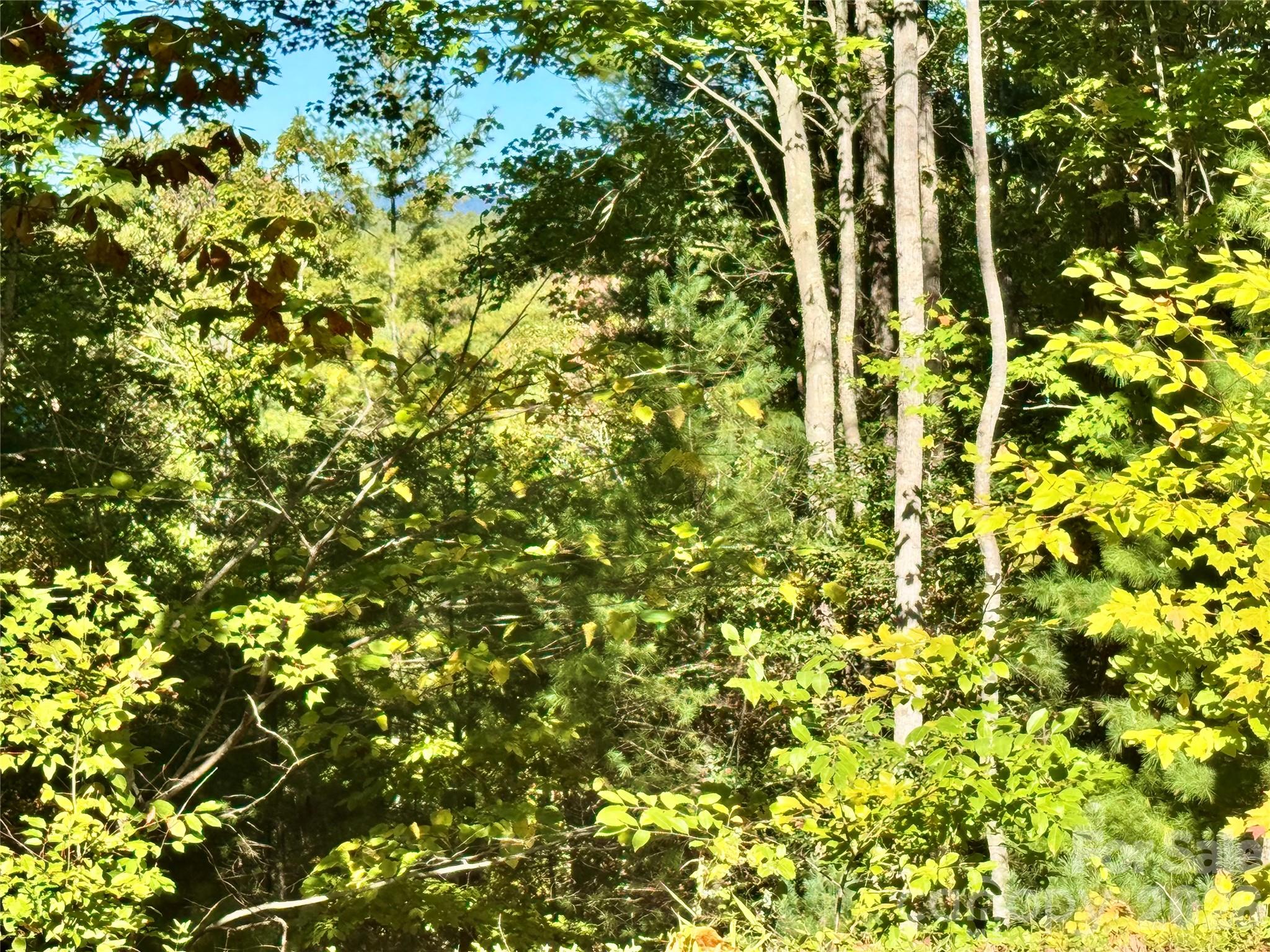 Lot at Lot 35, Poplar Bluff Drive, Lenoir, photo 2 of 32