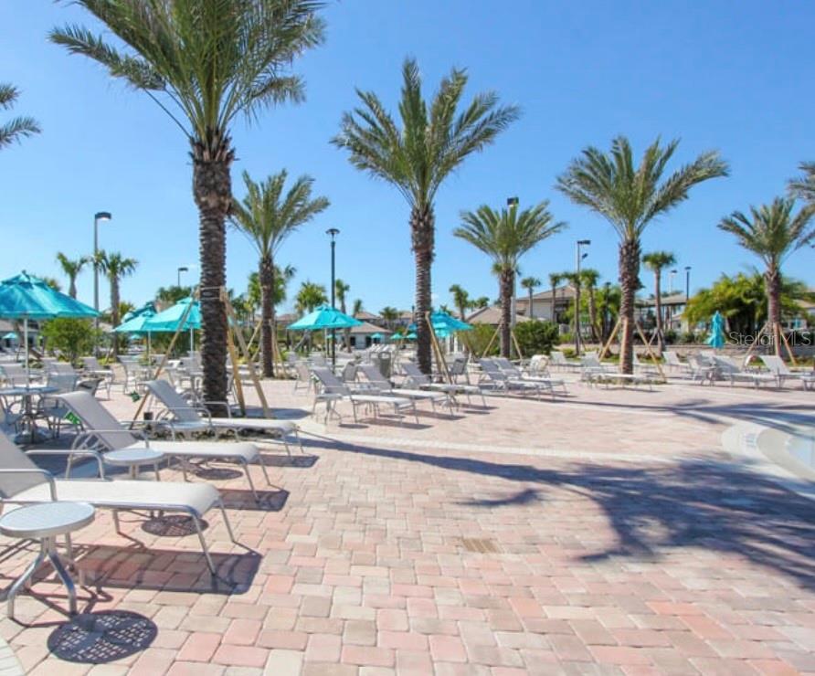 Enjoy the Oasis Club's Resort-Style Pools and Tropical Waterpark Setting - 1520 MOON VALLEY DR, DAVENPORT