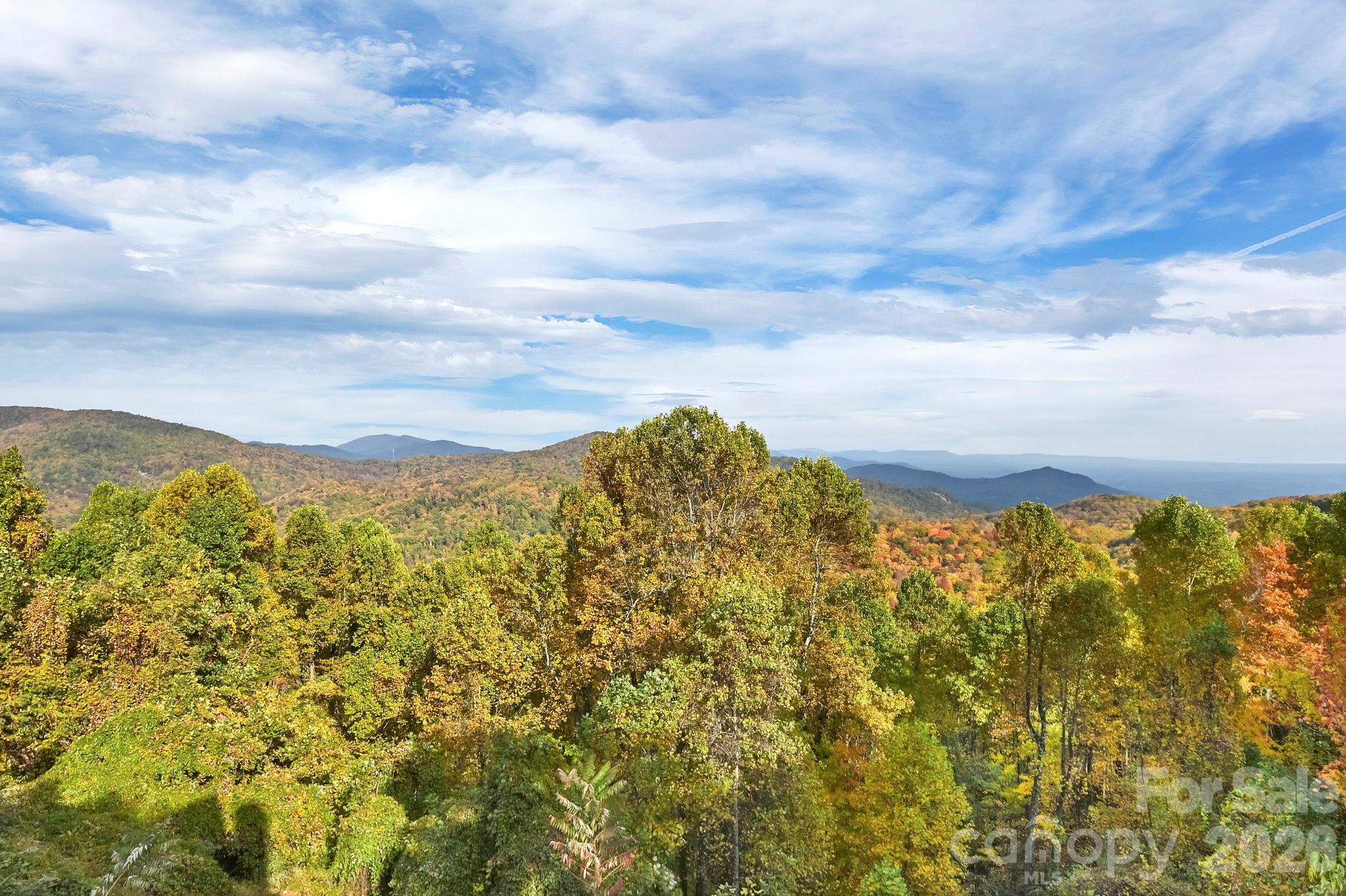 Center view form the deck - 107 Fawns Rest None, Black Mountain