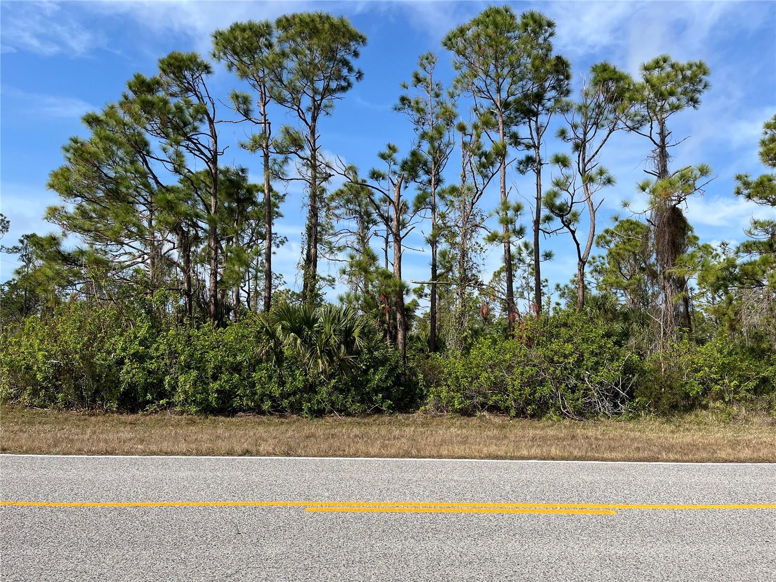 Land at 14767 SAN DOMINGO BLVD, PORT CHARLOTTE, photo 2 of 3