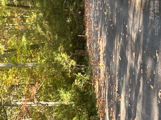 Lot at 0 Wilkerson Court, Lake Lure, photo 3 of 4