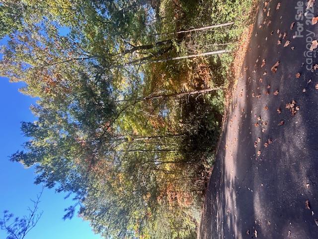 Lot at 0 Wilkerson Court, Lake Lure, photo 4 of 4