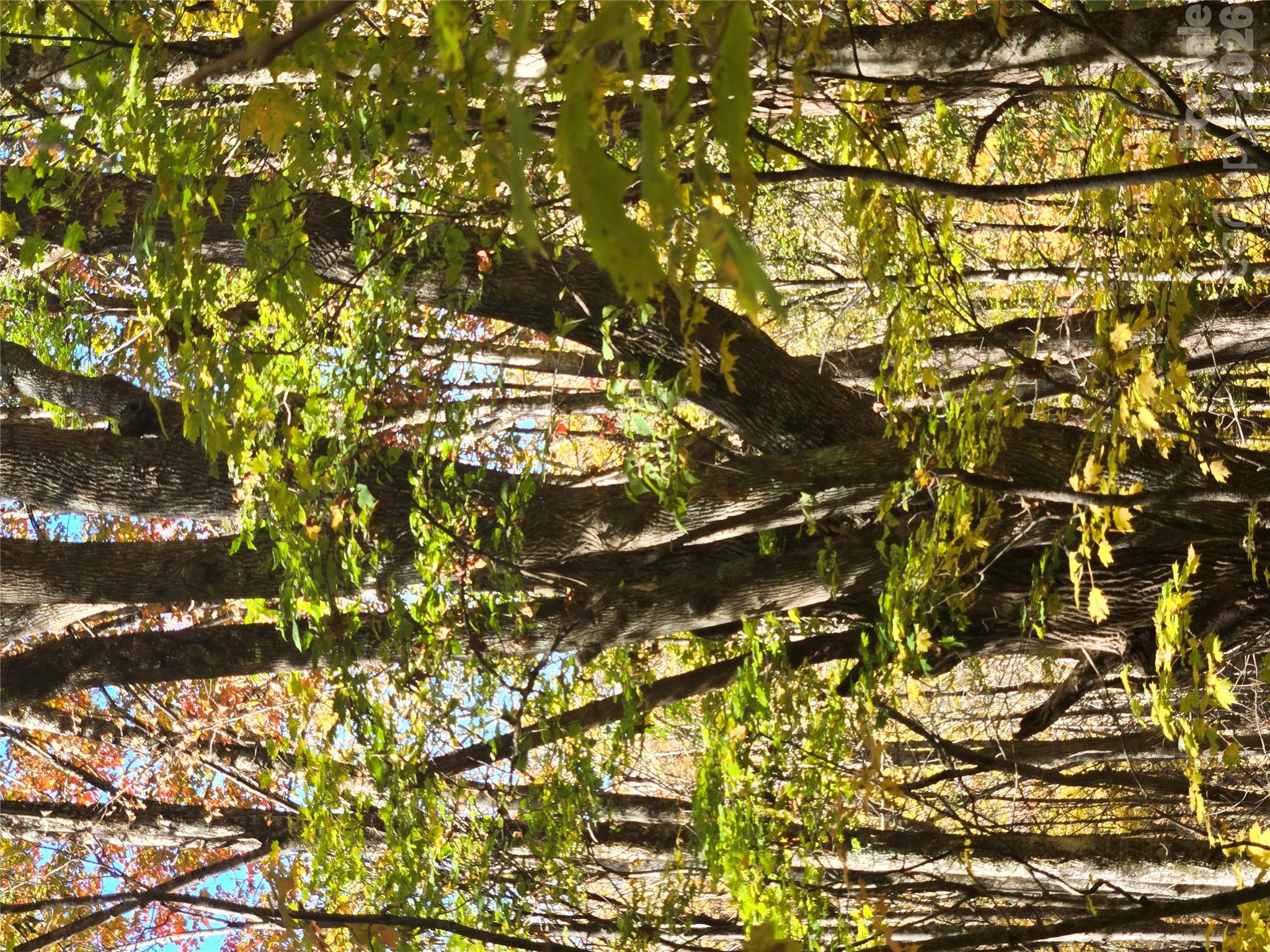 Take a lot at the beautiful property in Tater Patch! - 24 Tater Patch Road, Maggie Valley