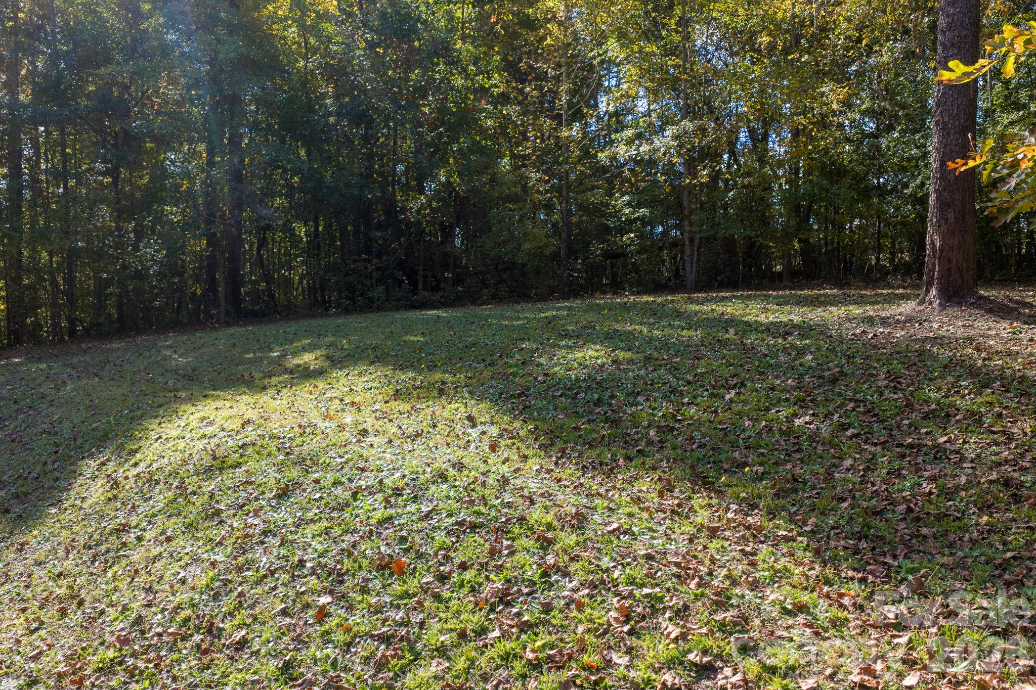 Backyard - 3297 Stony Brook Circle, Newton