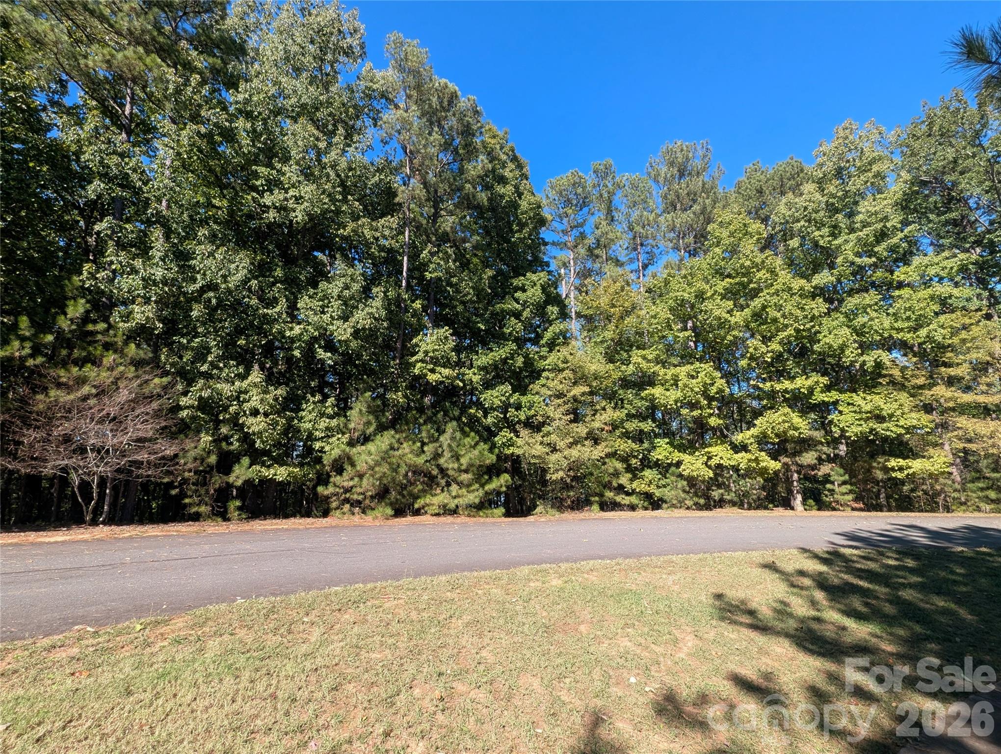 Lot at 12525 Marsh Wren Court, Charlotte, photo 3 of 28