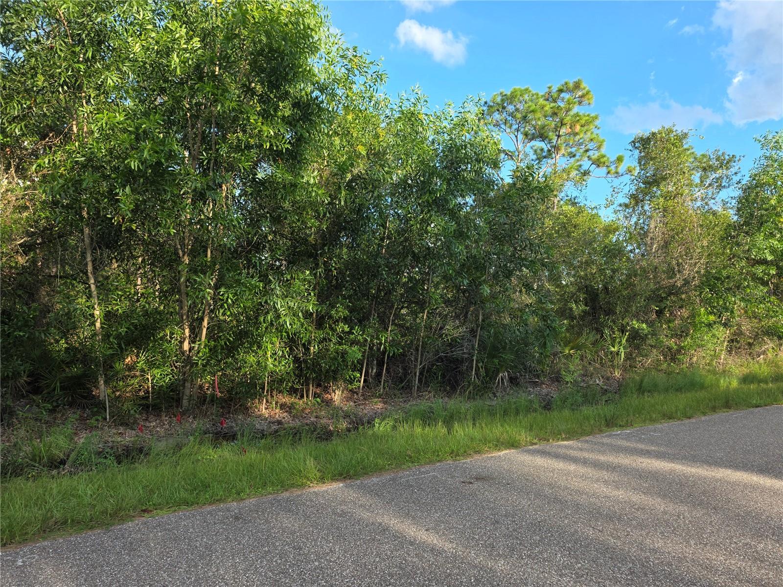 Land at 1422 BLAISDELL ST, PORT CHARLOTTE, photo 2 of 3