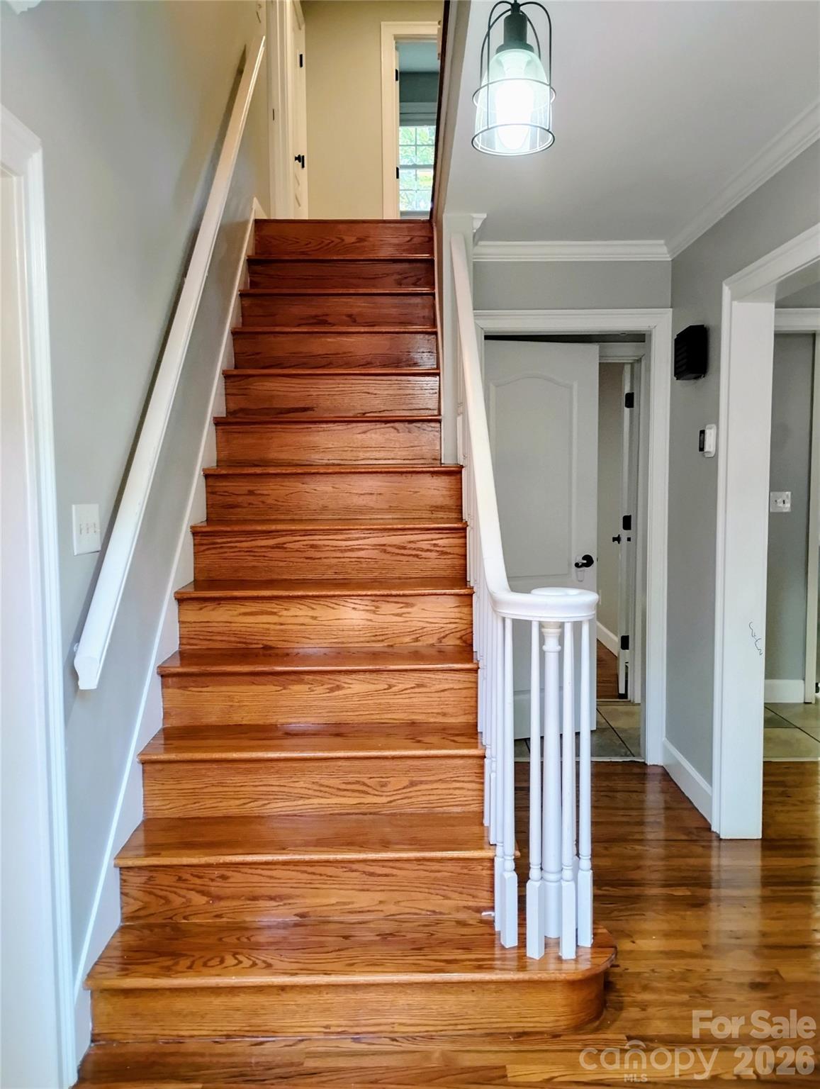 Entry stairs - 1290 Wendy Road, Rock Hill