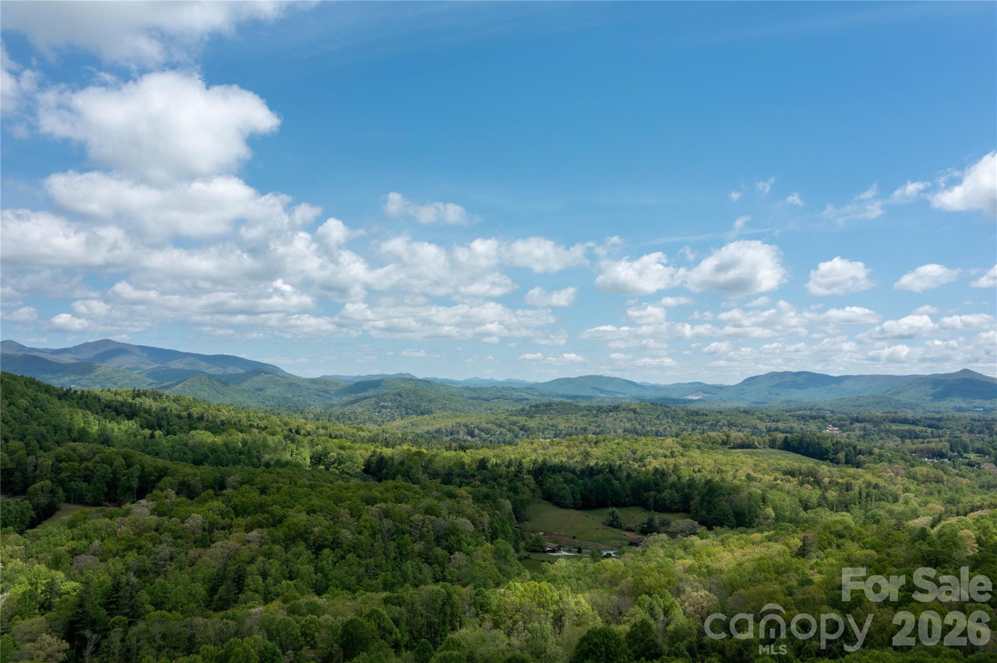 Potential view on the other side of the trees - Lots 8 & 13 Laurel Hill Drive, Spruce Pine