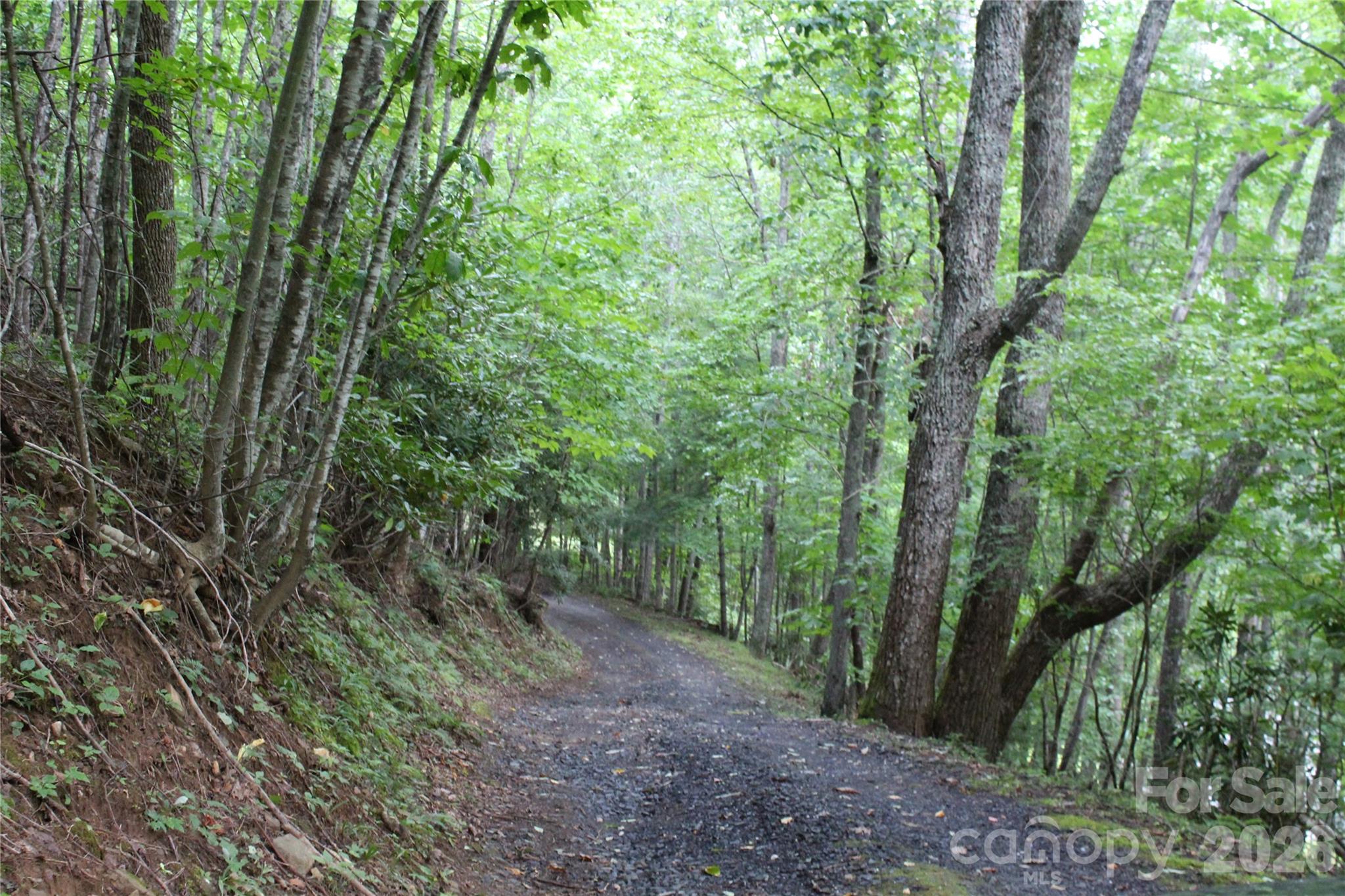 Lot at Lots 8 & 13 Laurel Hill Drive, Spruce Pine, photo 6 of 20