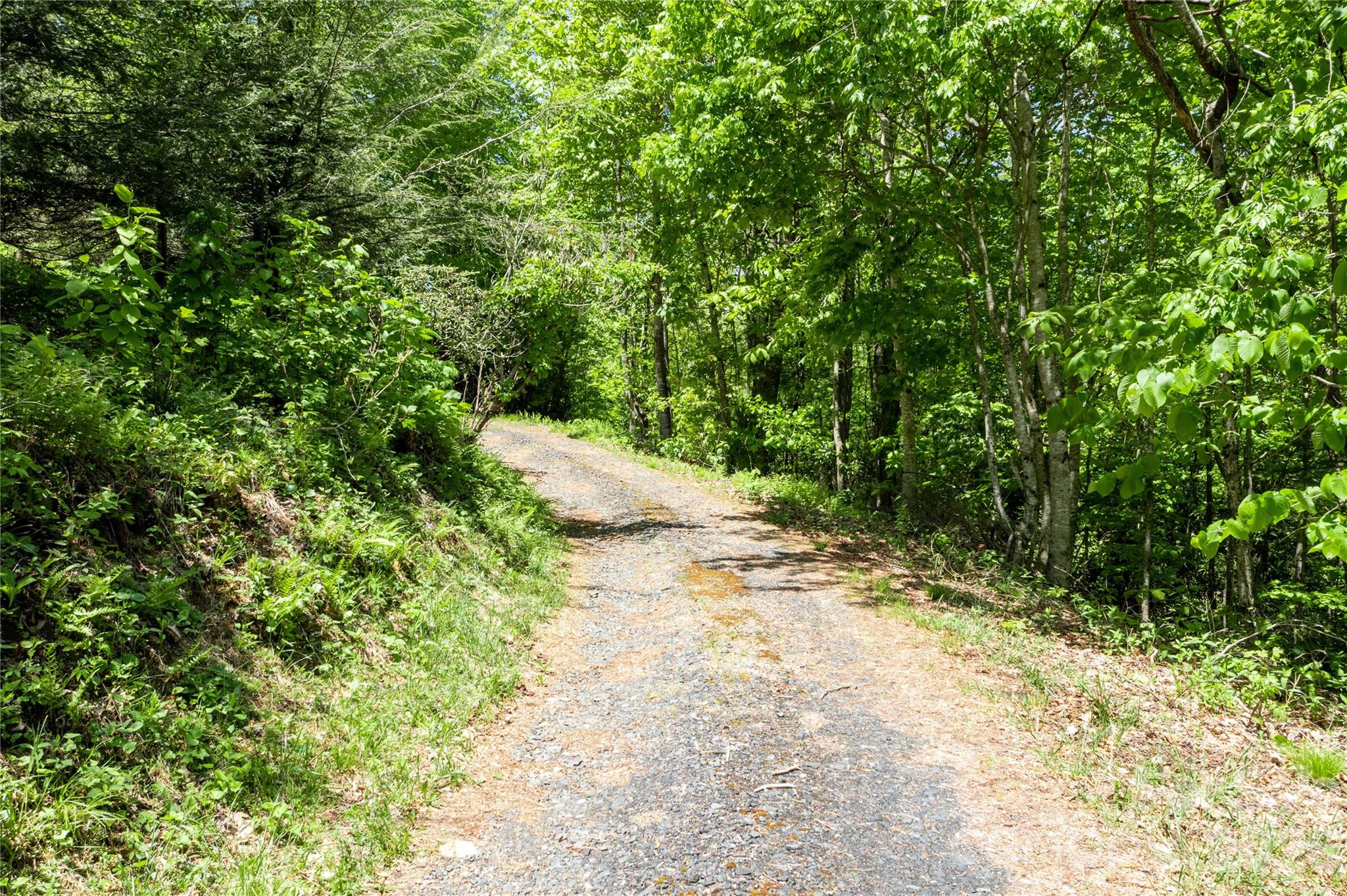 Lot at Lots 8 & 13 Laurel Hill Drive, Spruce Pine, photo 7 of 20
