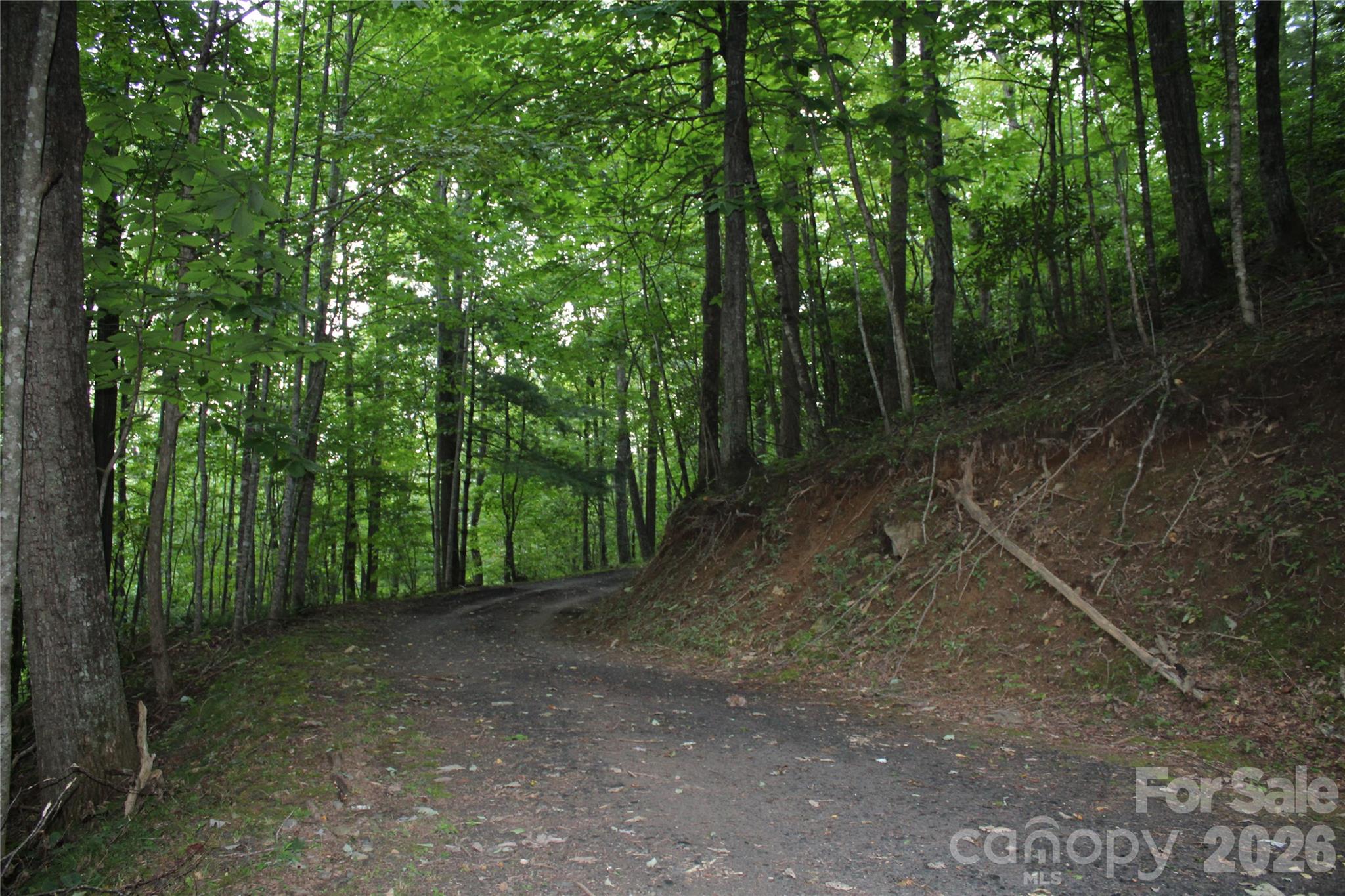 Road going through both lots - Lots 8 & 13 Laurel Hill Drive, Spruce Pine