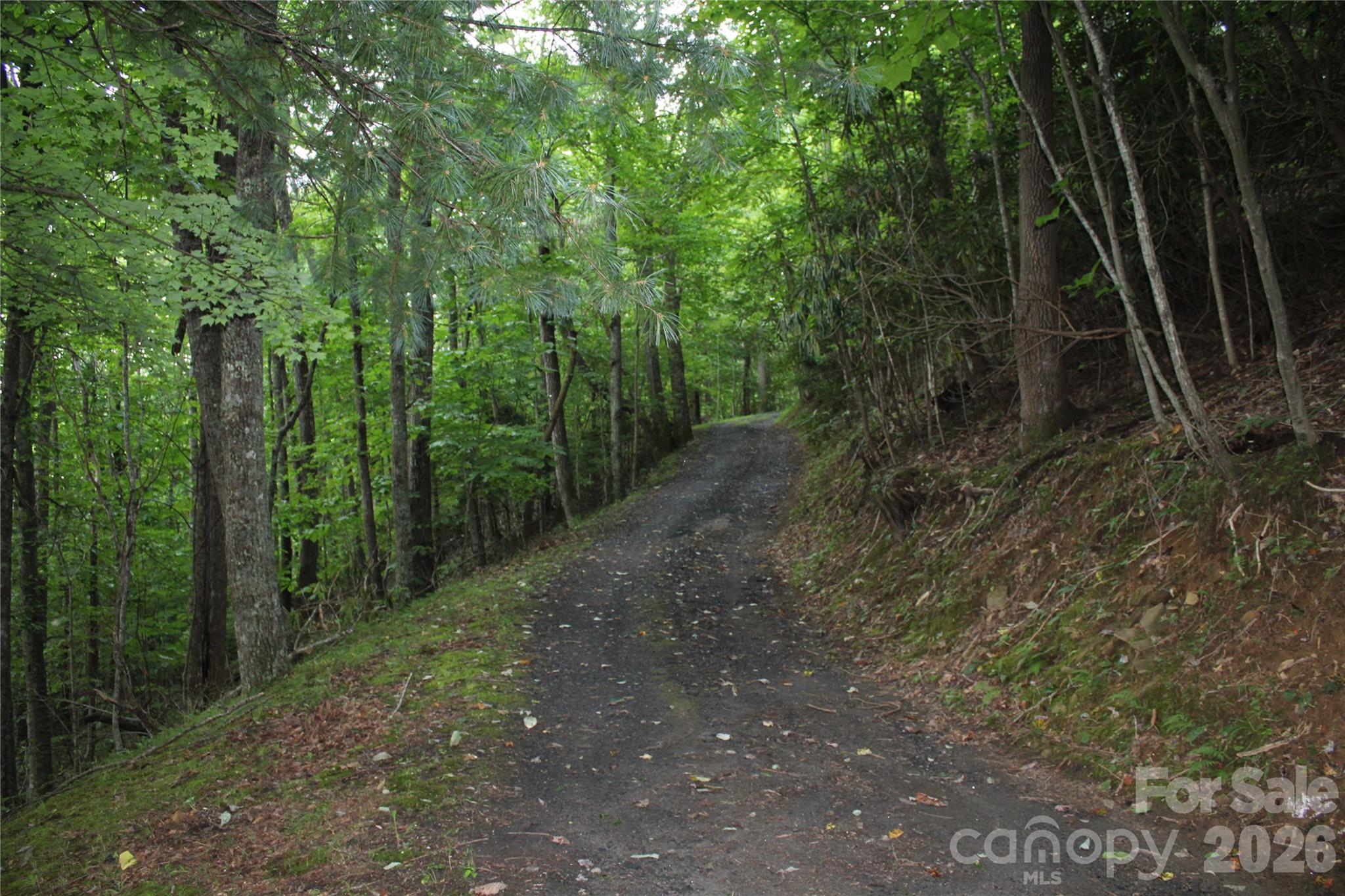 Lot at Lots 8 & 13 Laurel Hill Drive, Spruce Pine, photo 9 of 20